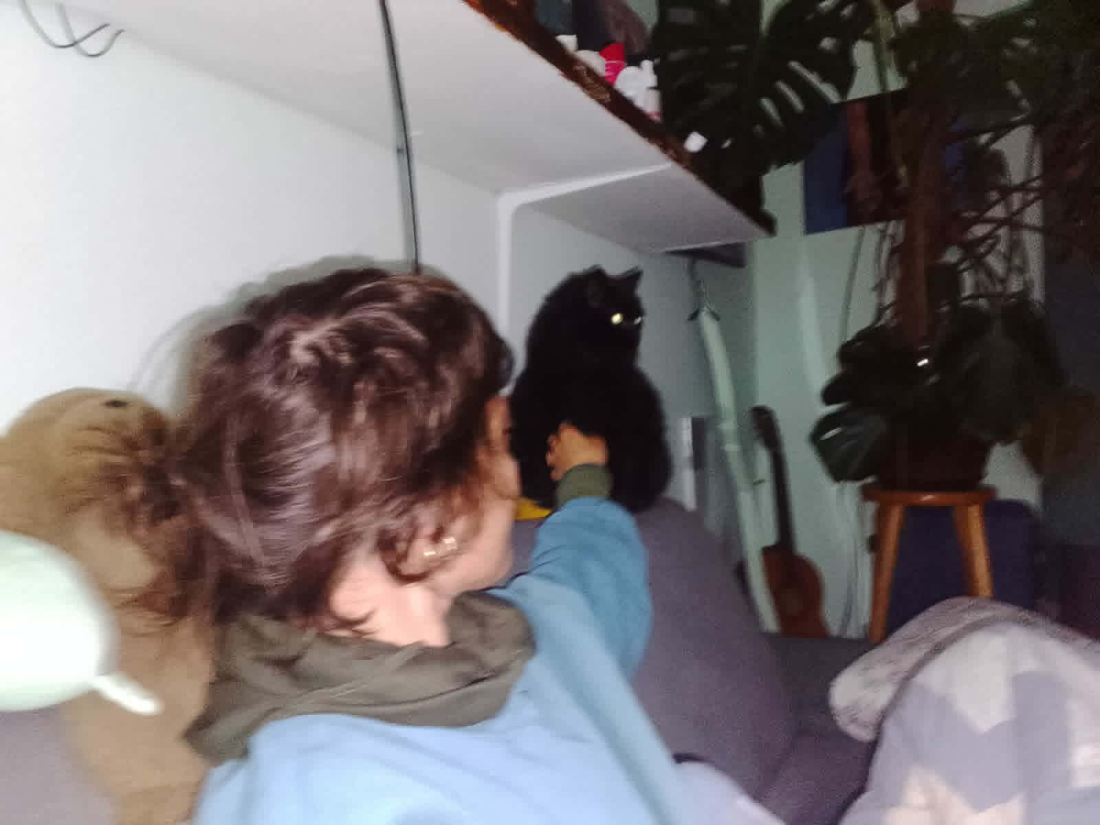 image-7