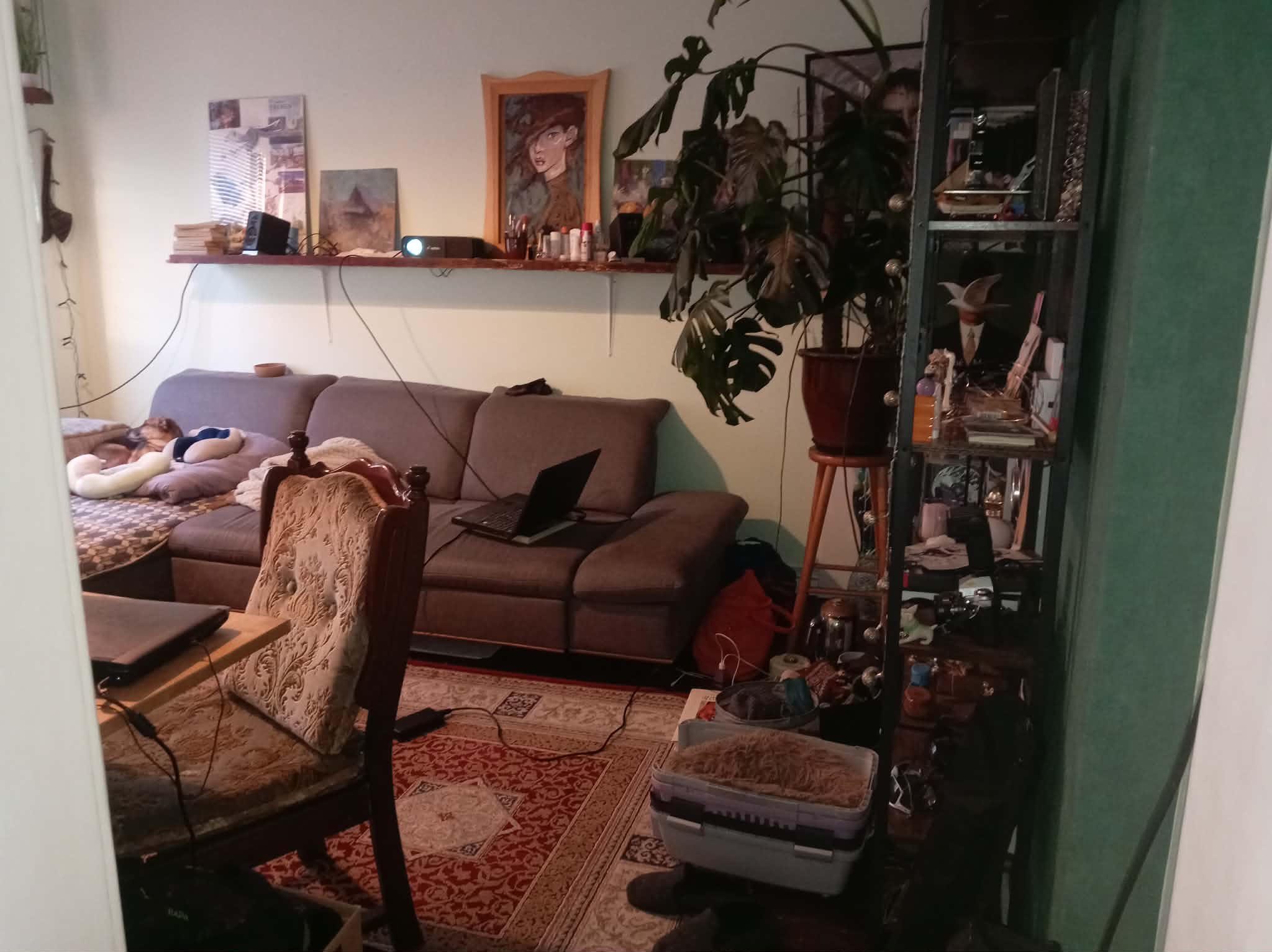 image-10