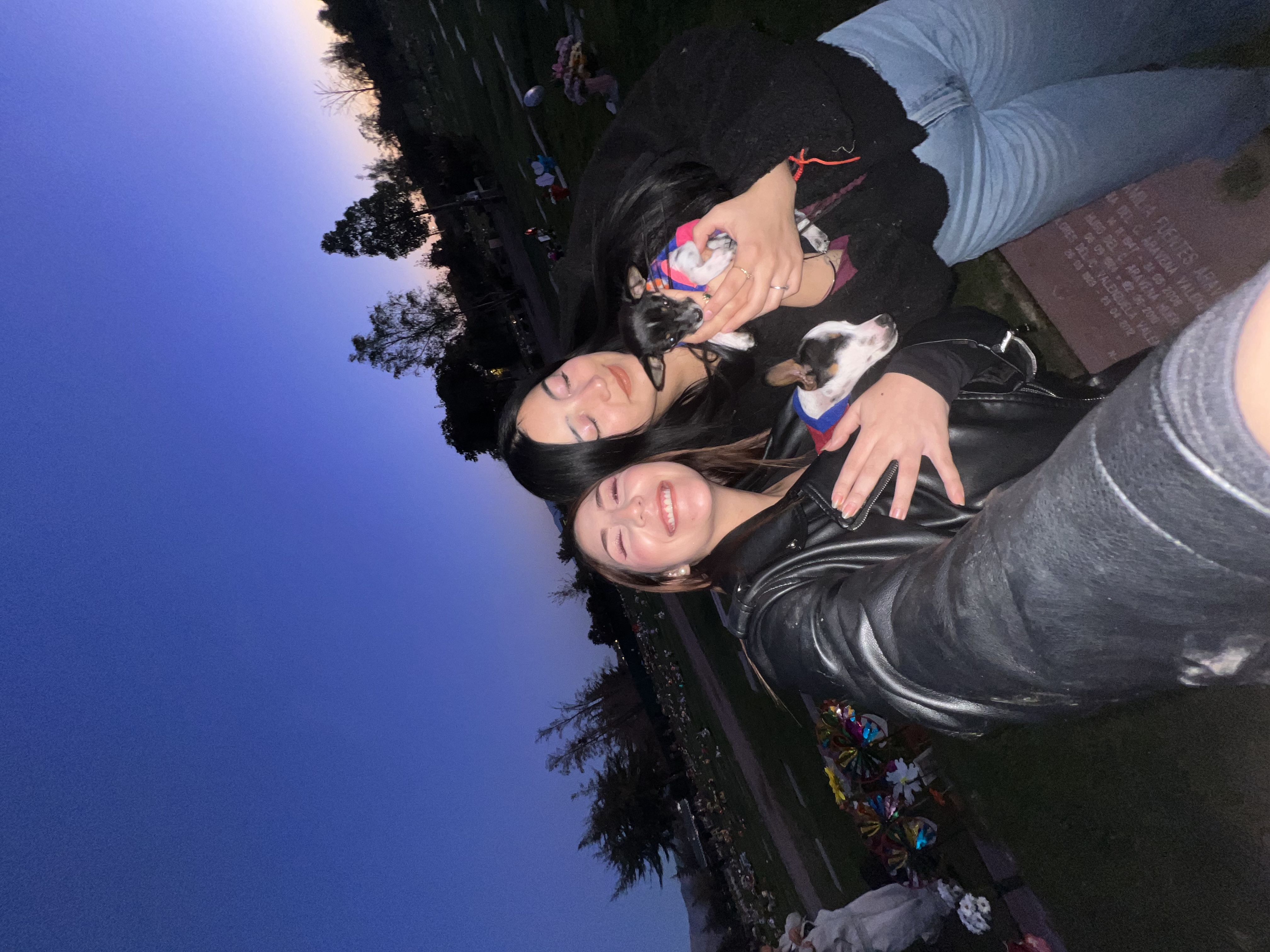 image-6