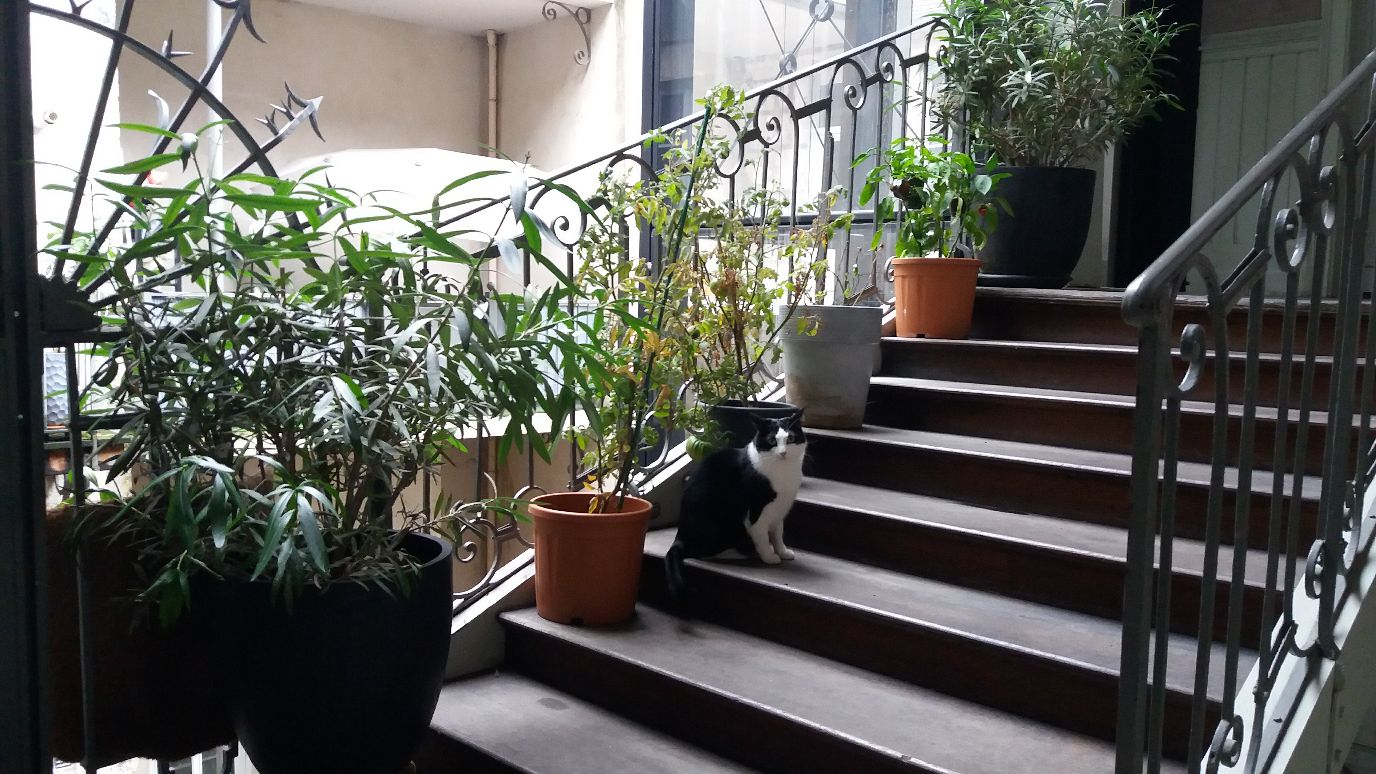 image-10