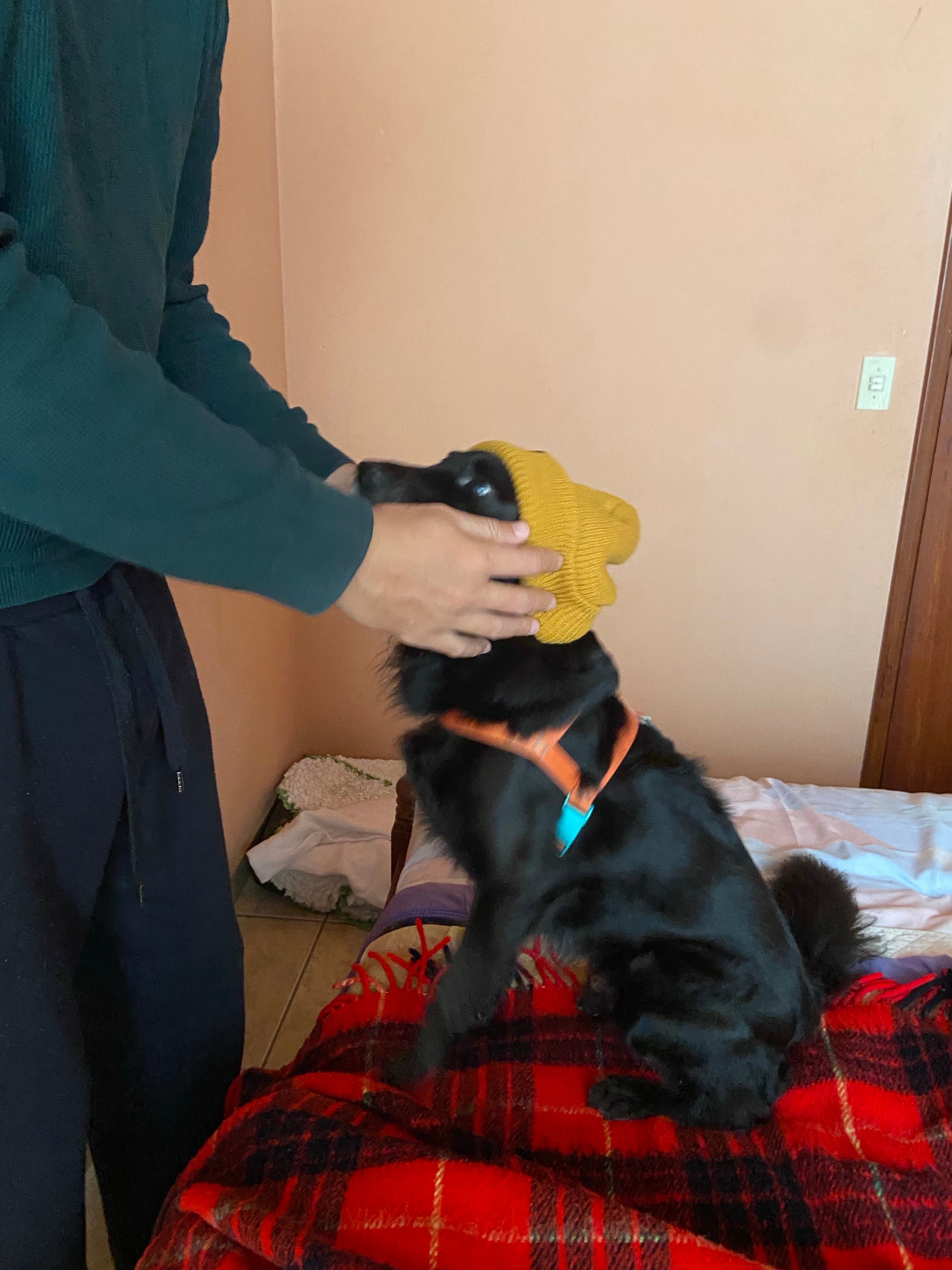 image-5