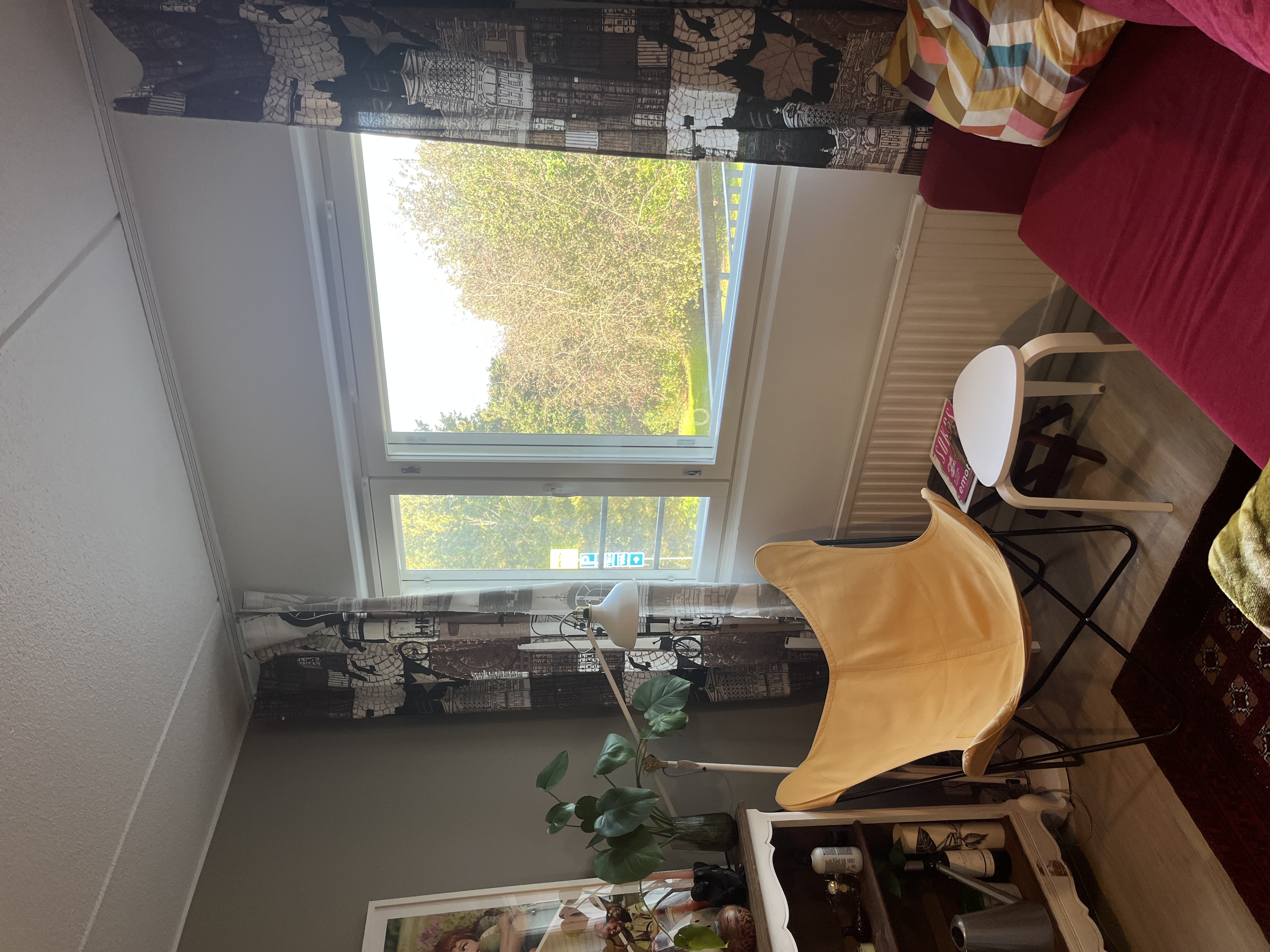 image-10