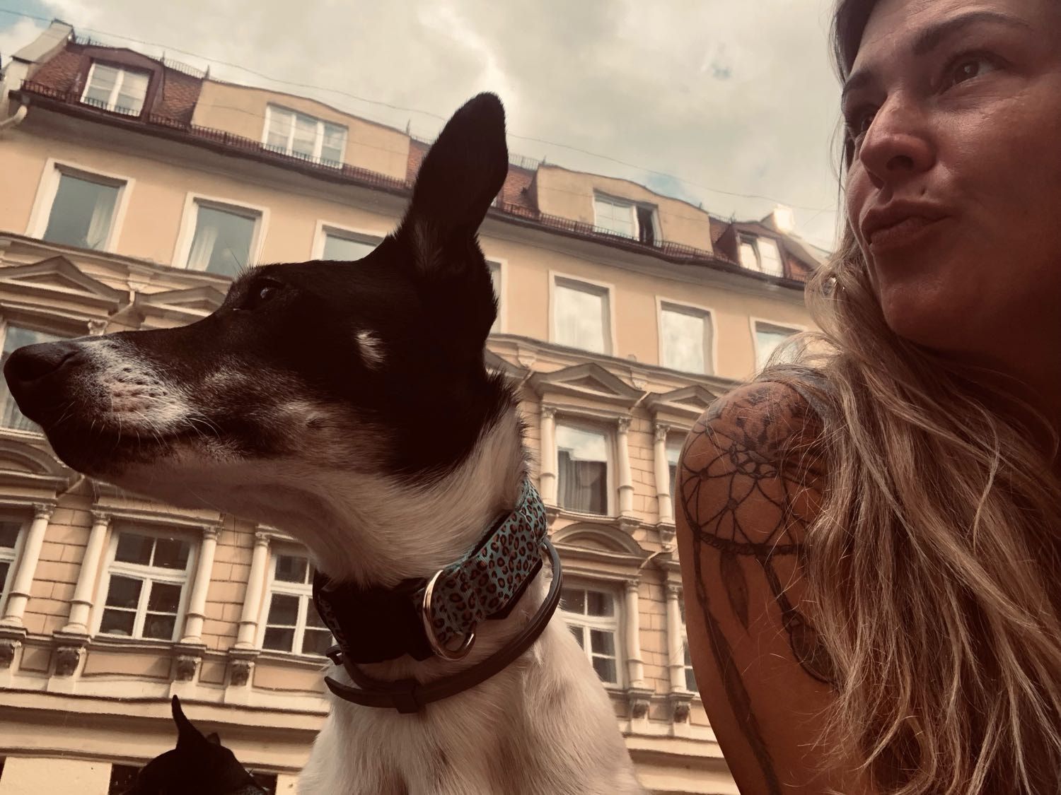 image-6