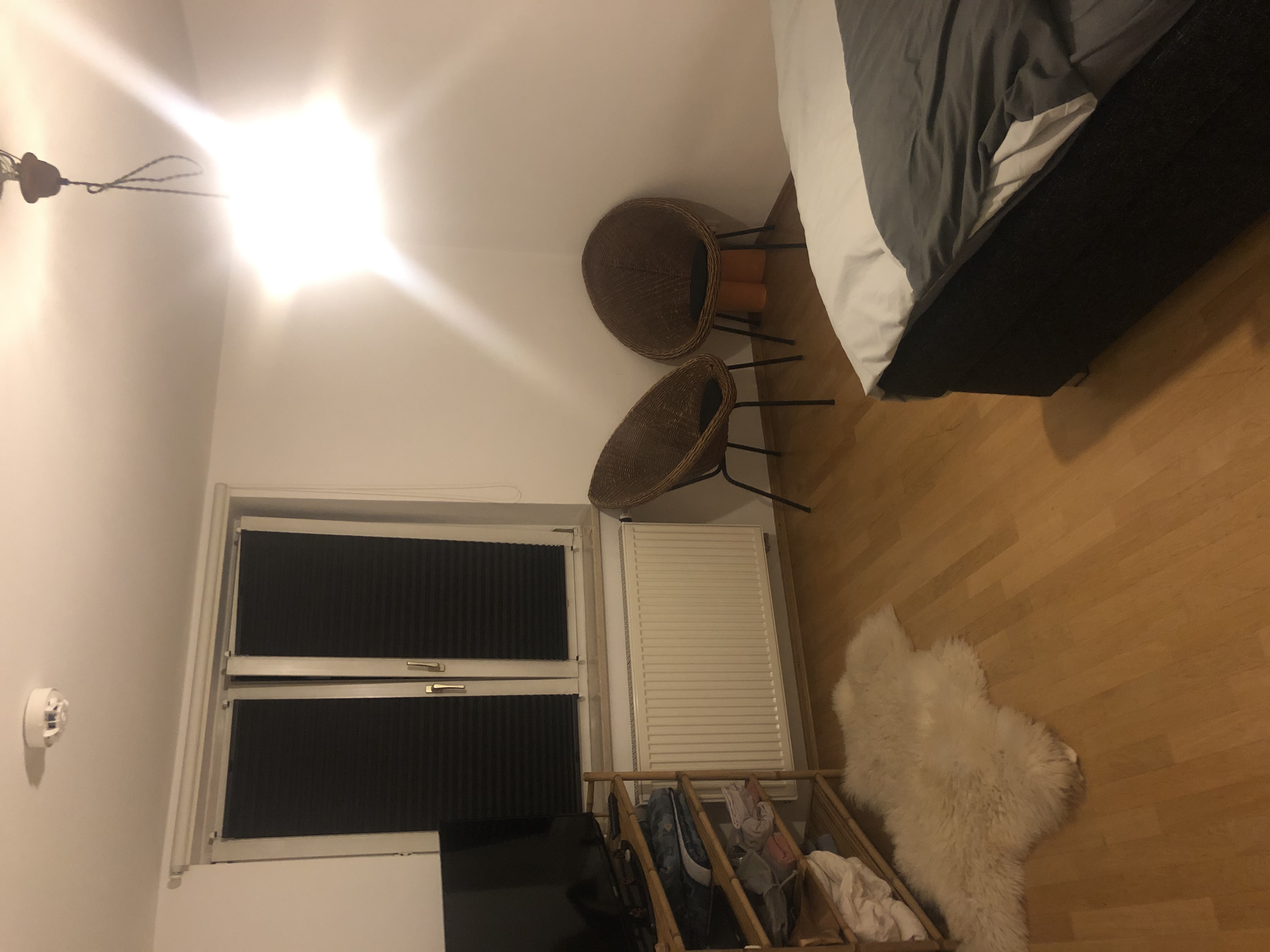 image-19