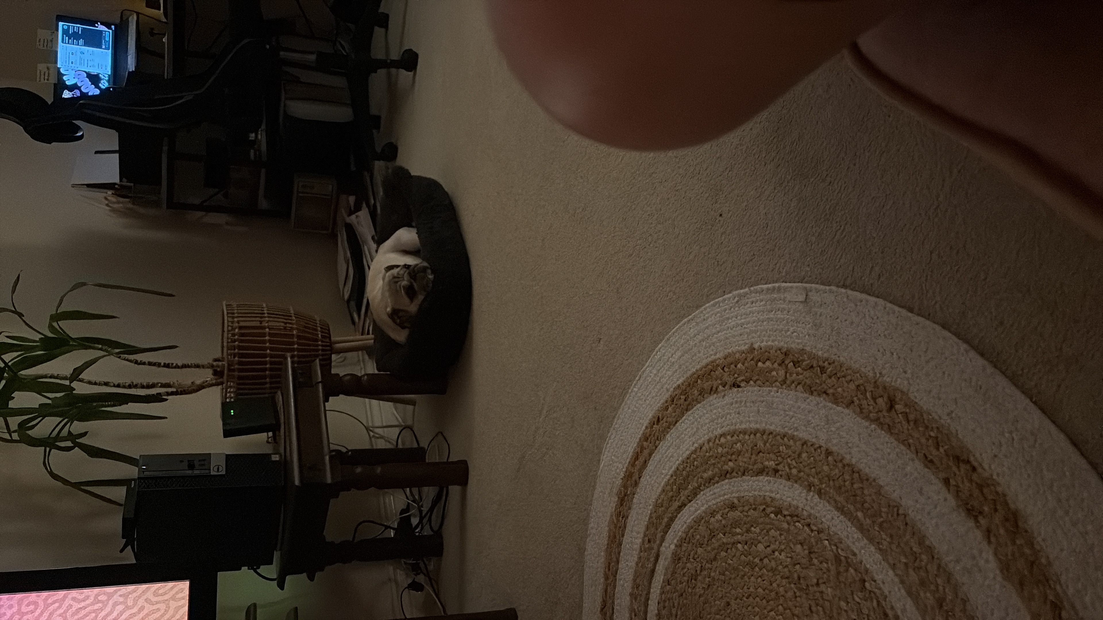 image-15