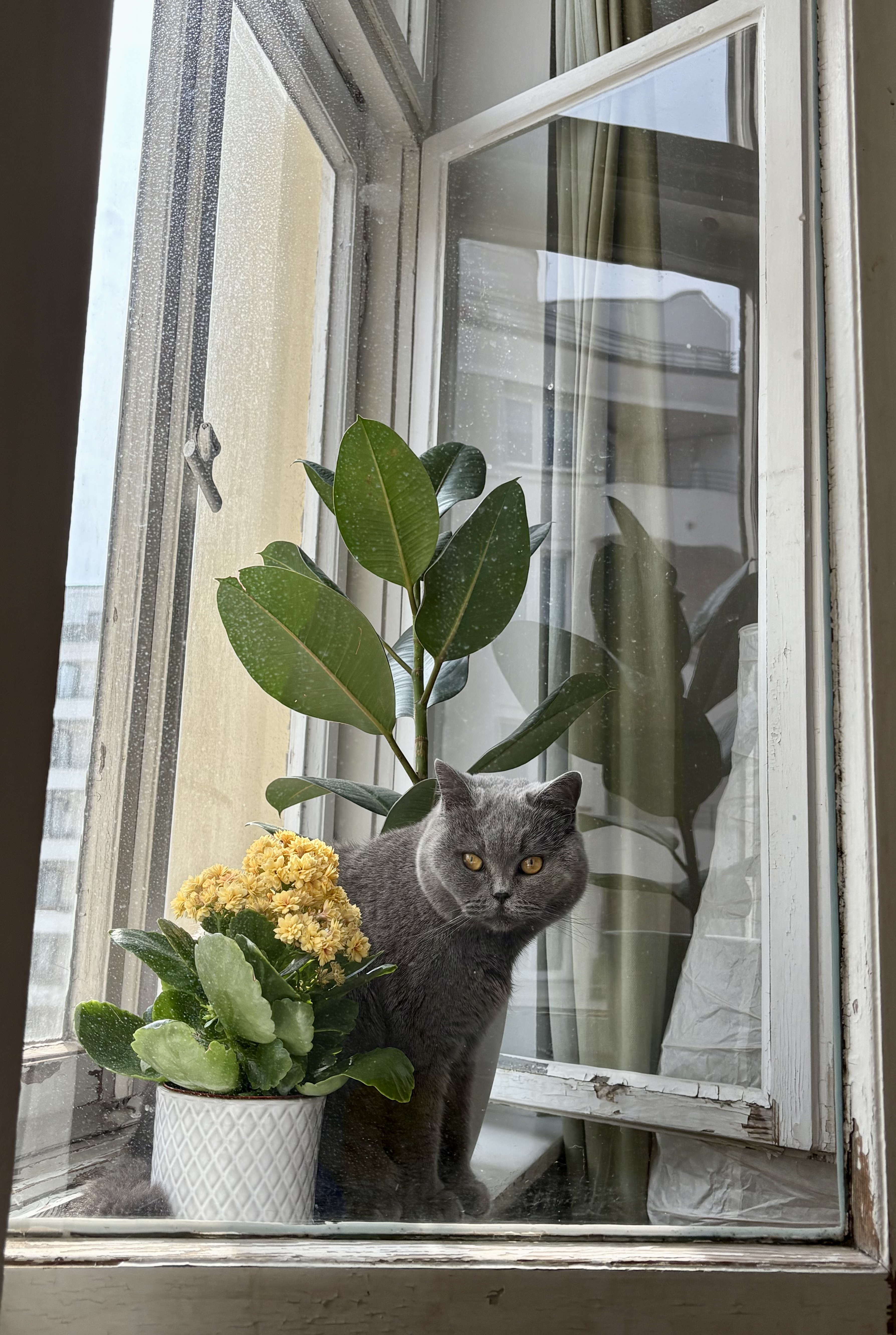 image-9