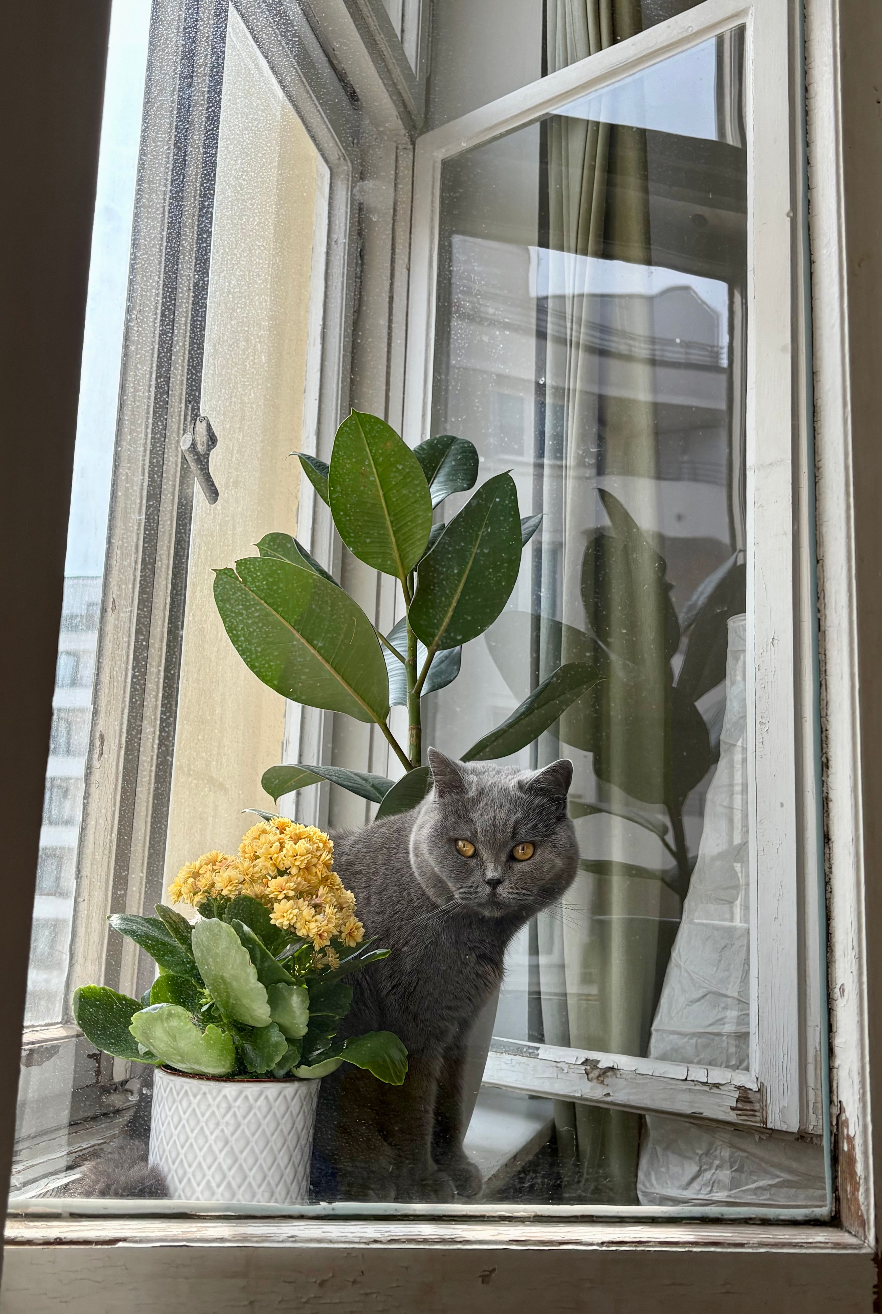 image-9