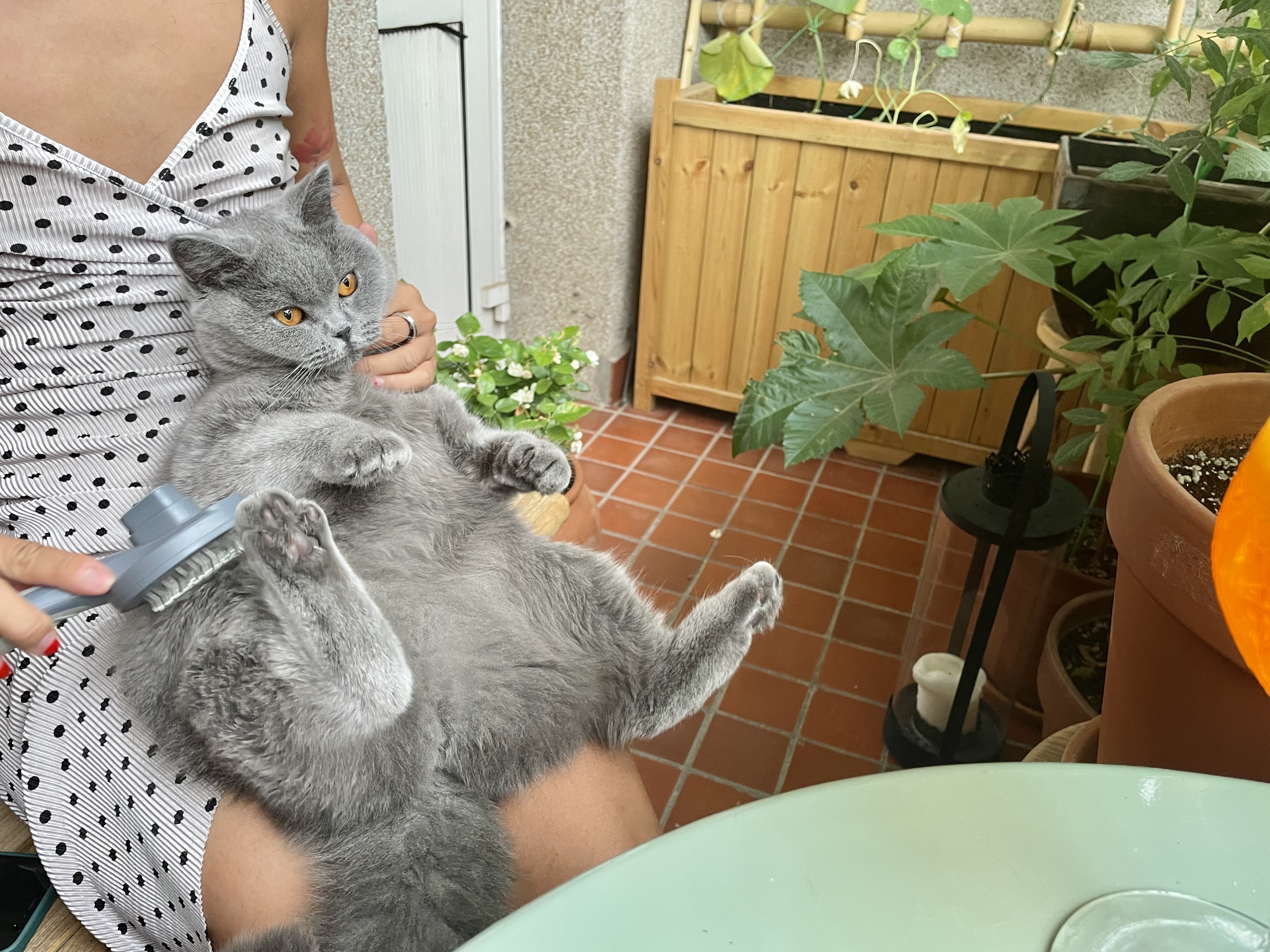 image-5