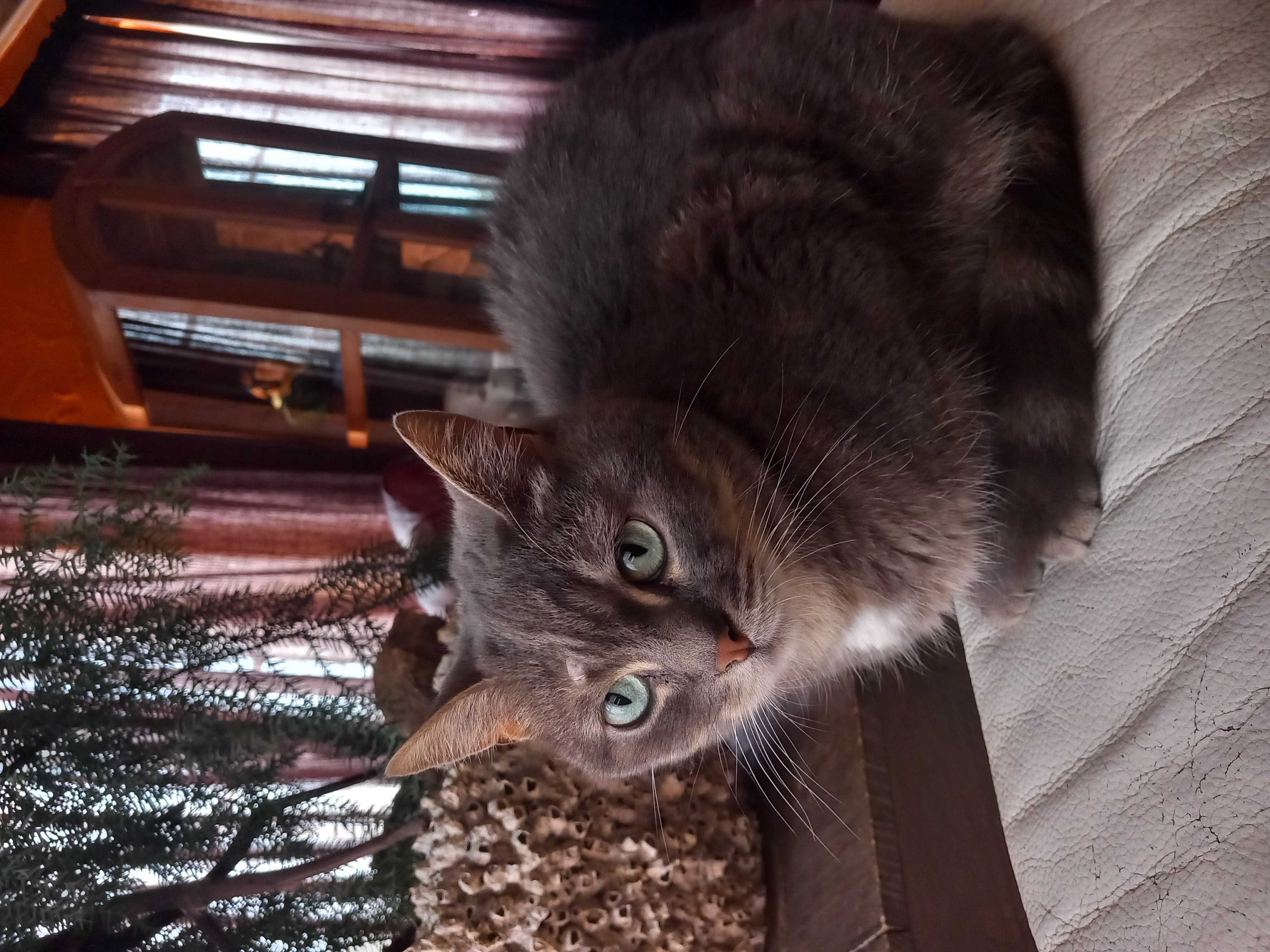 image-16