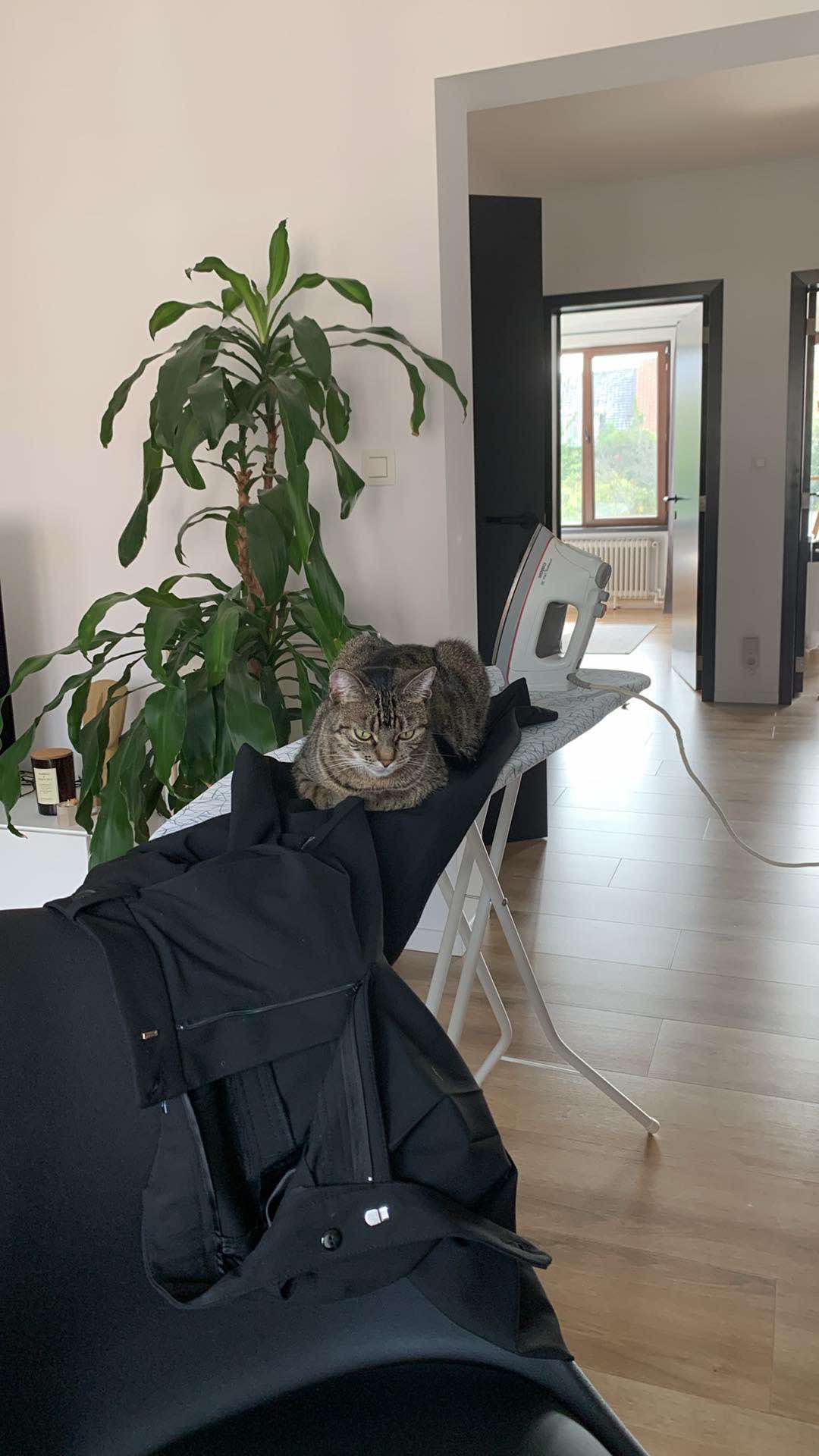 image-10