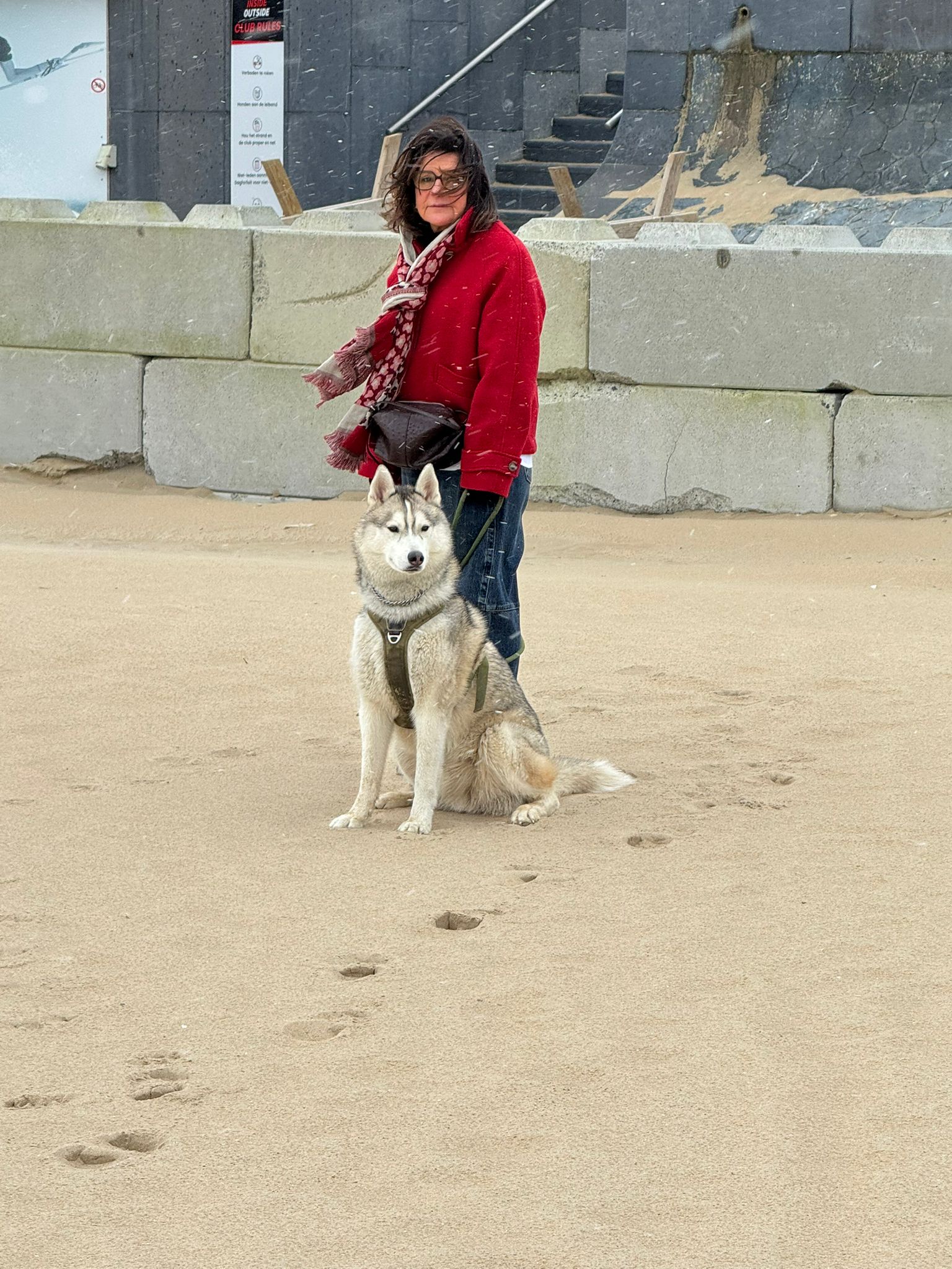 image-9