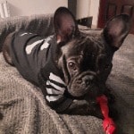 Marcel