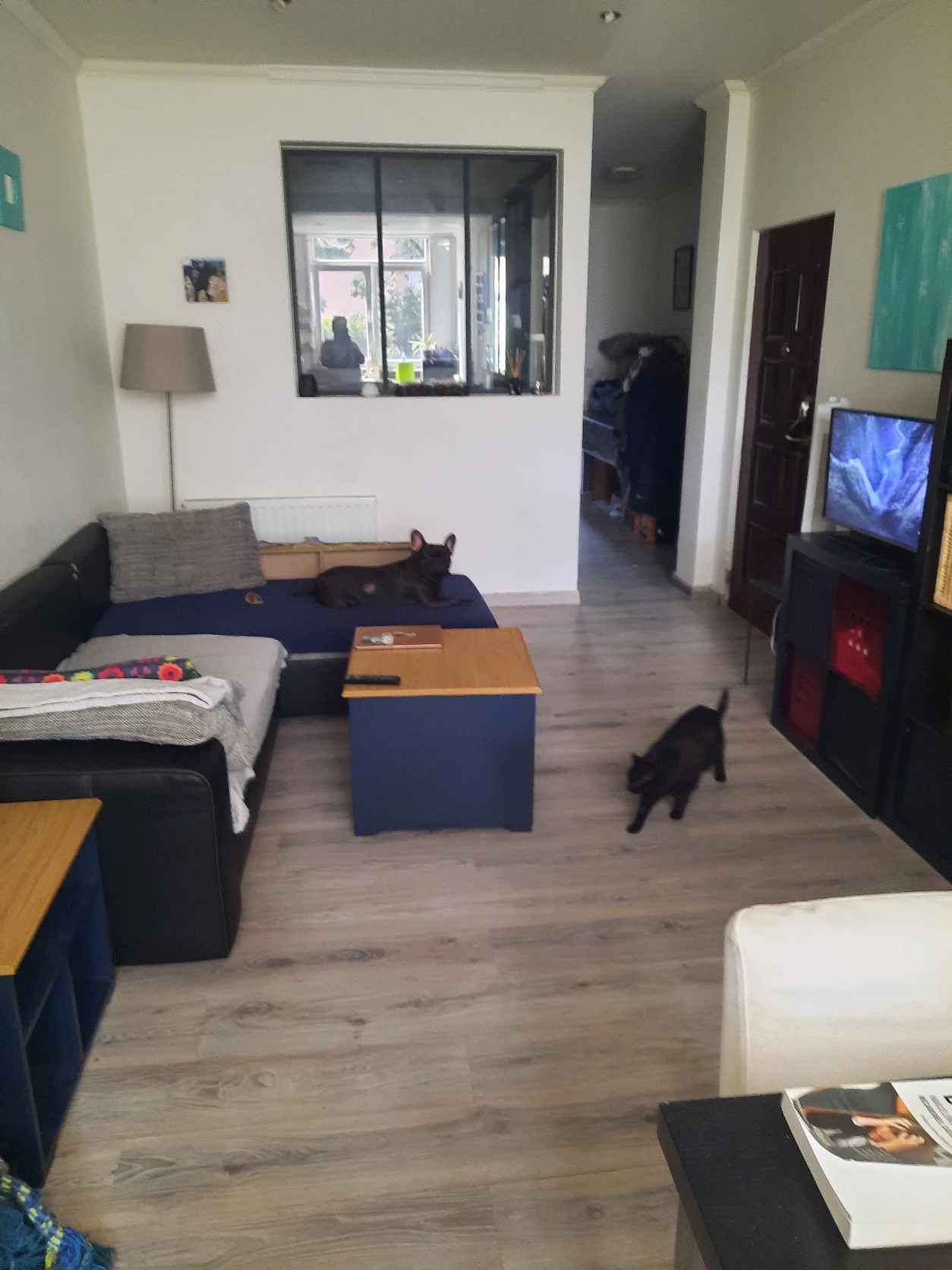 image-10