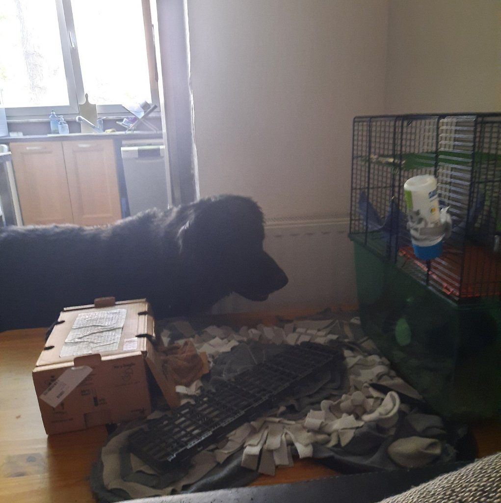 image-9