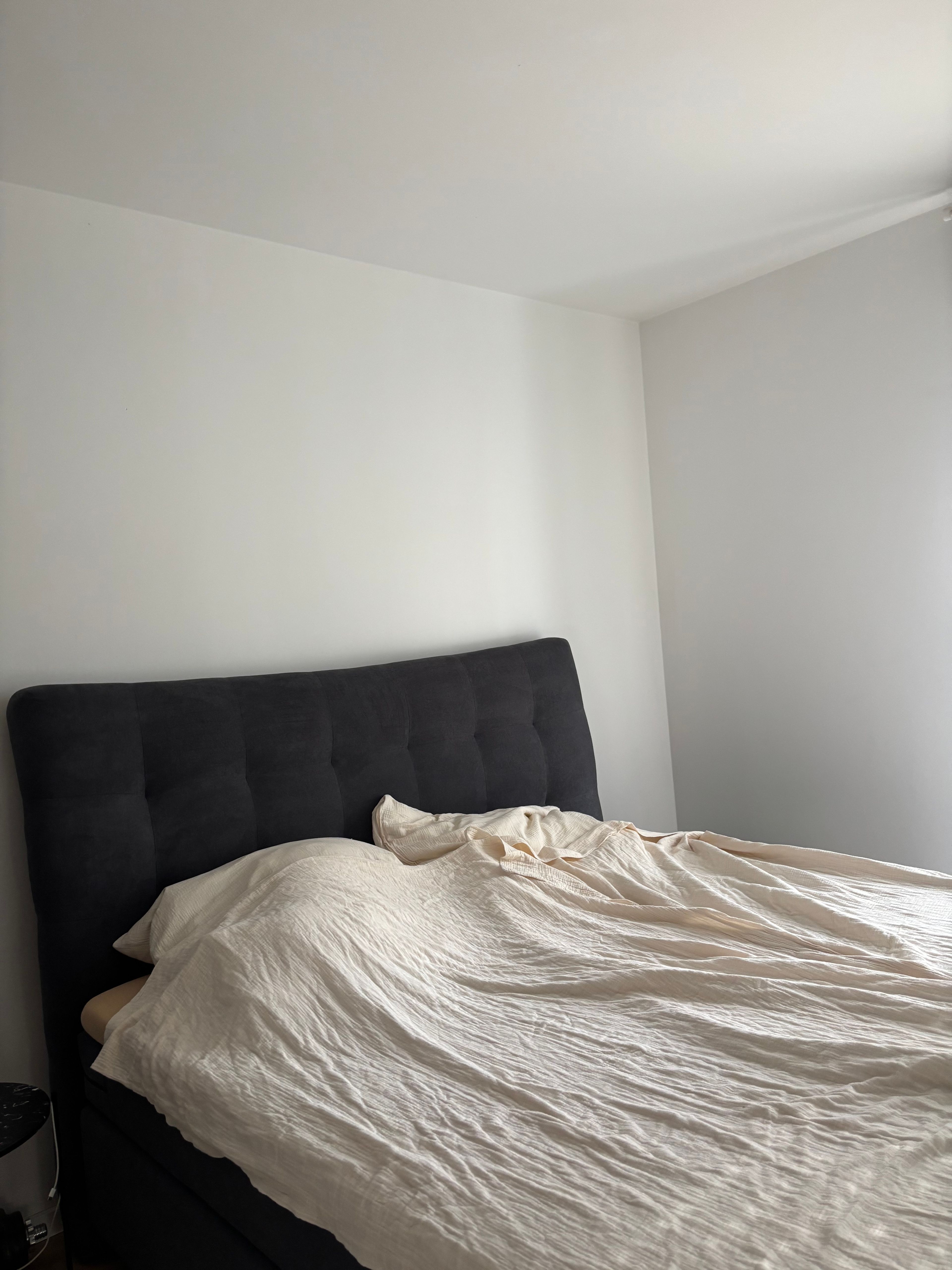 image-19