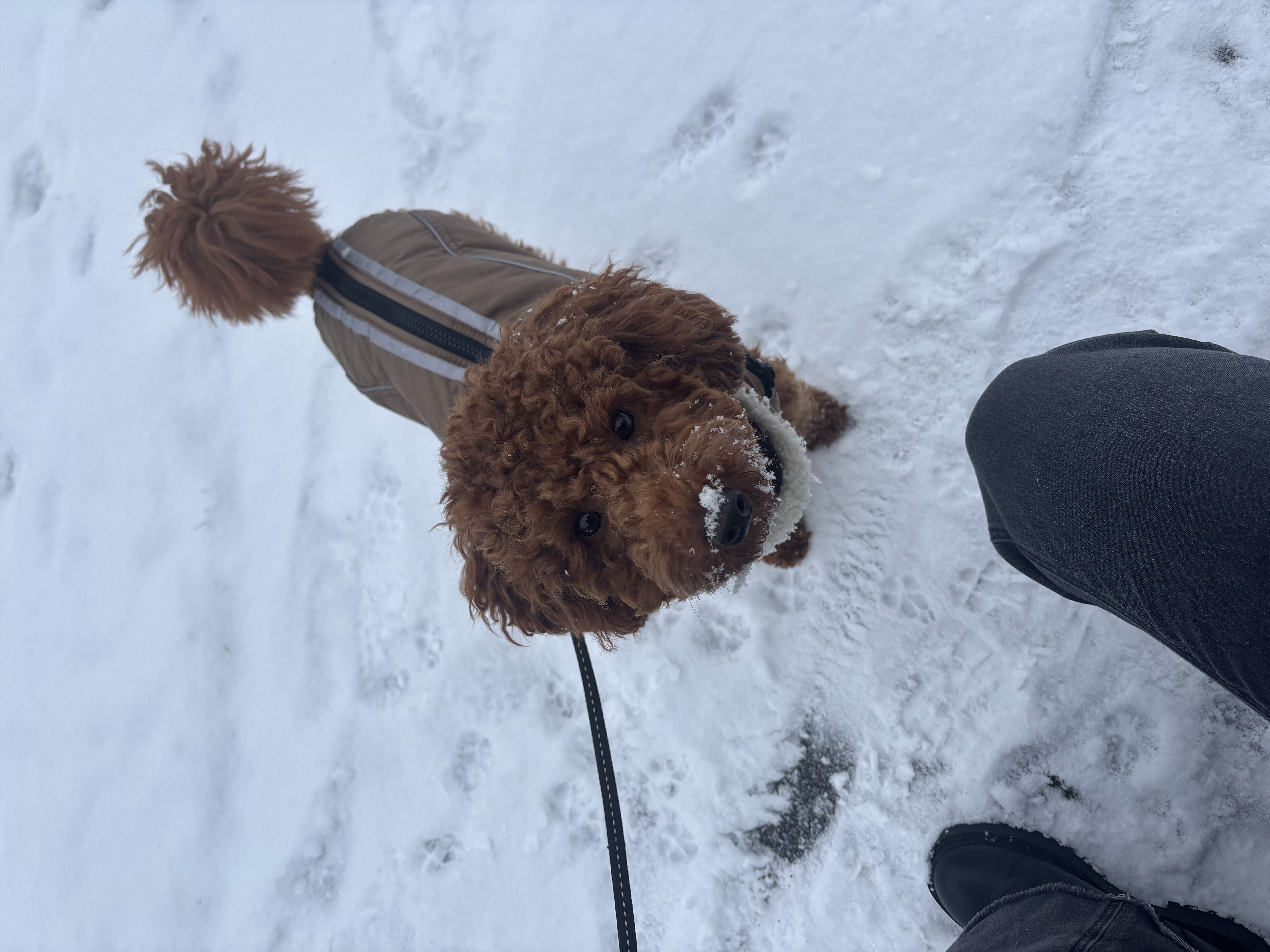 image-8