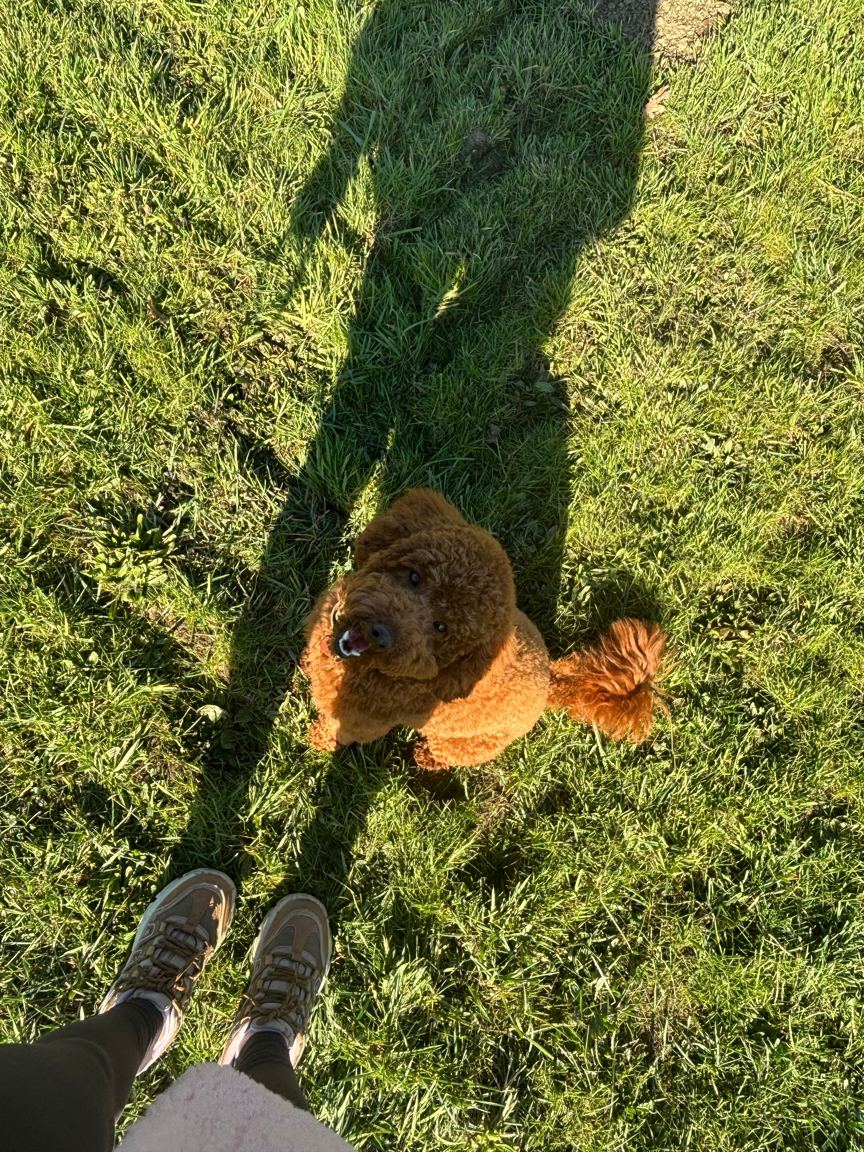 image-7