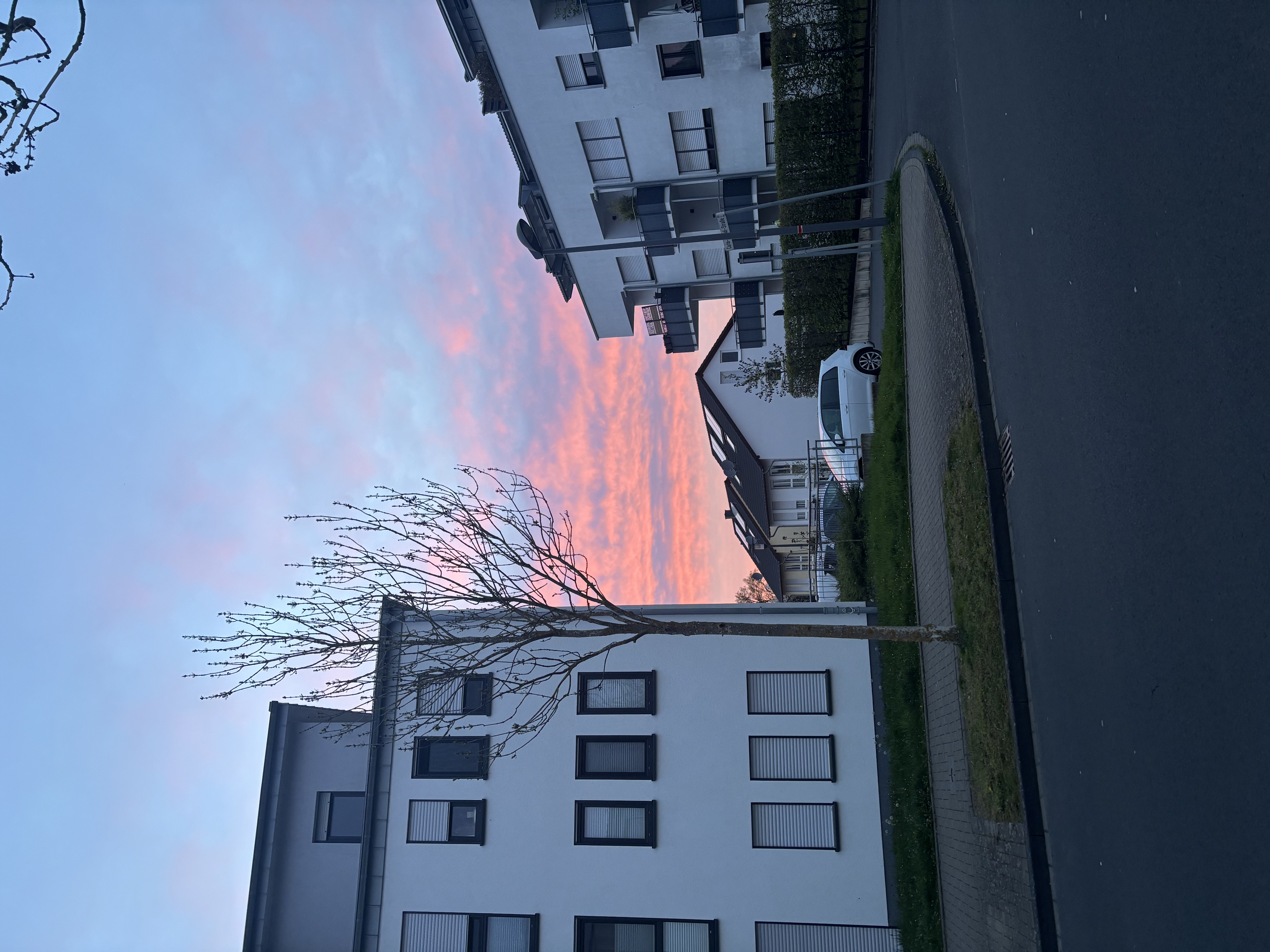 image-22