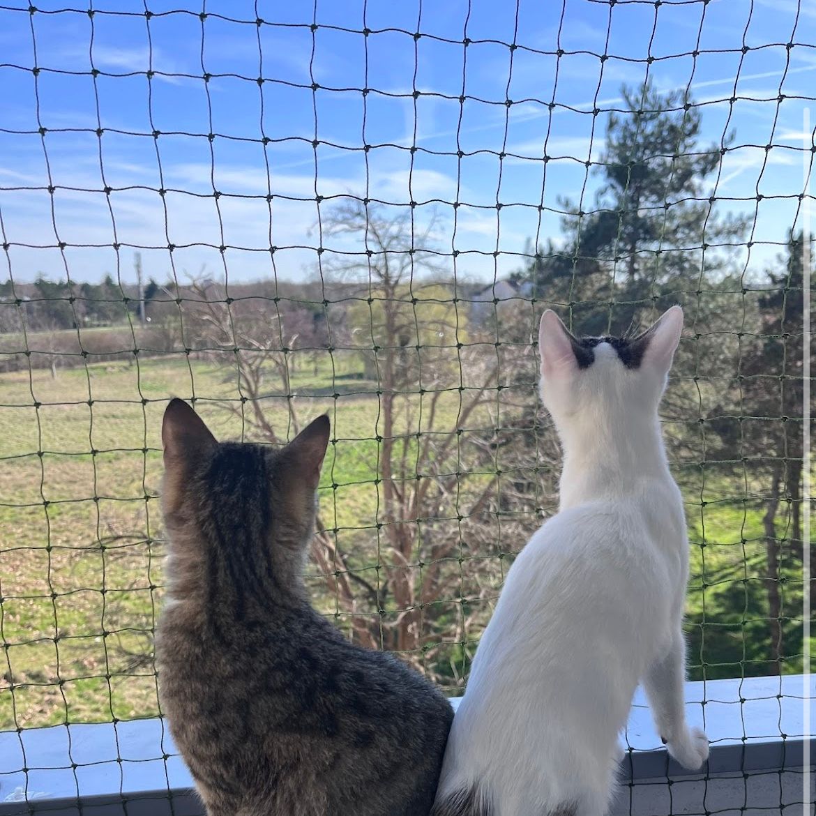 Beasty et Elly