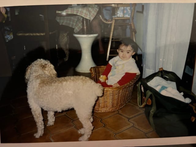 image-6