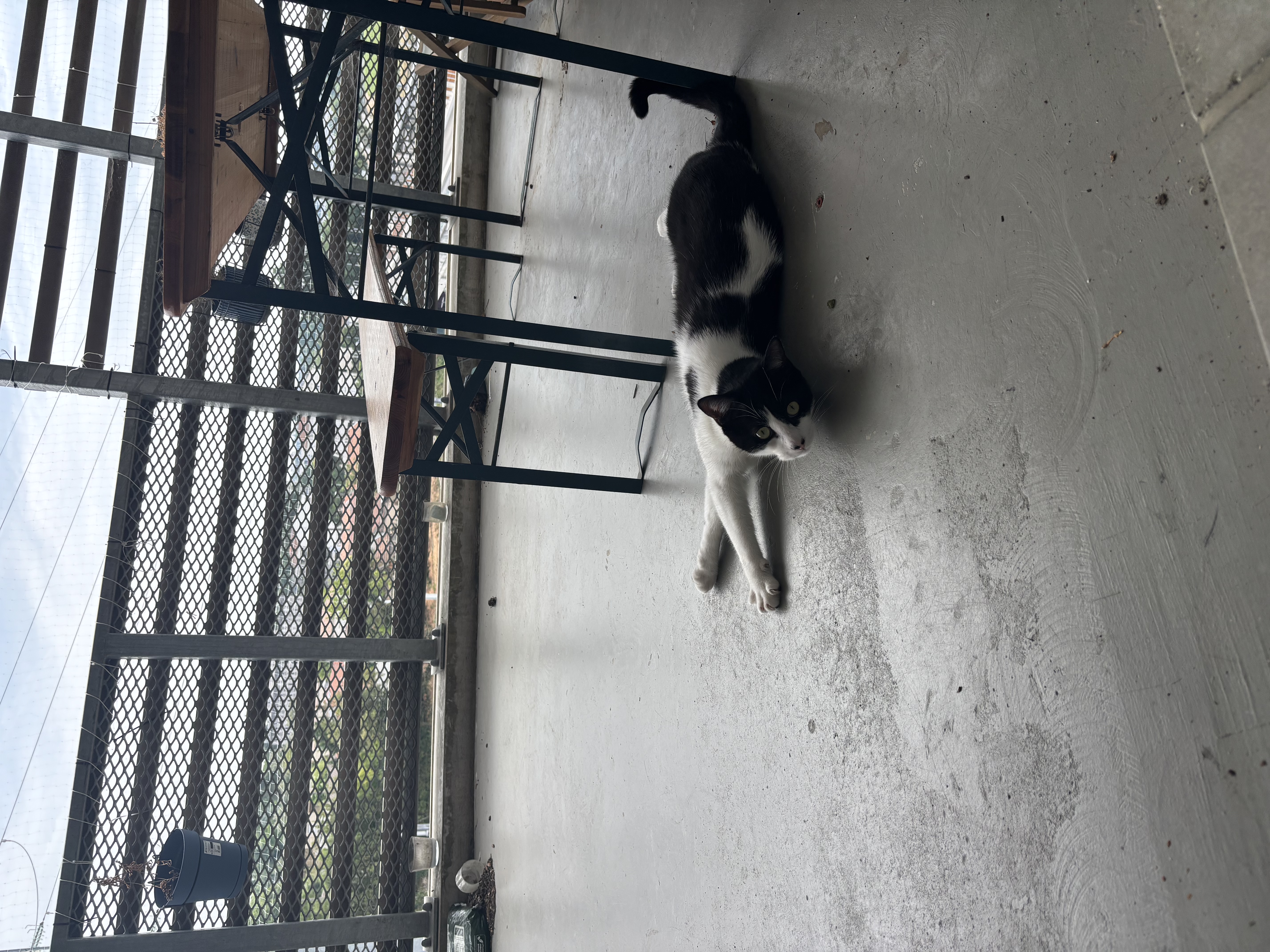image-11