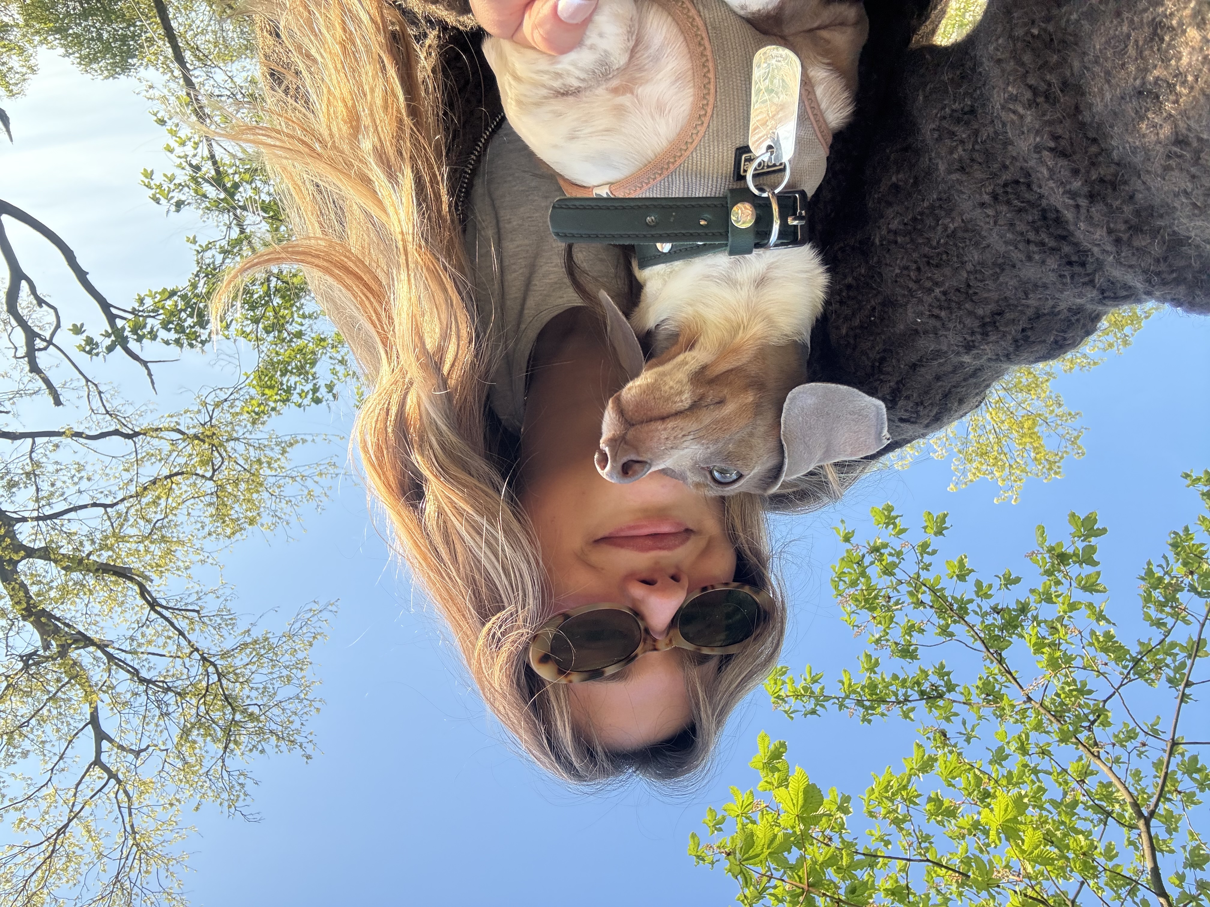image-0