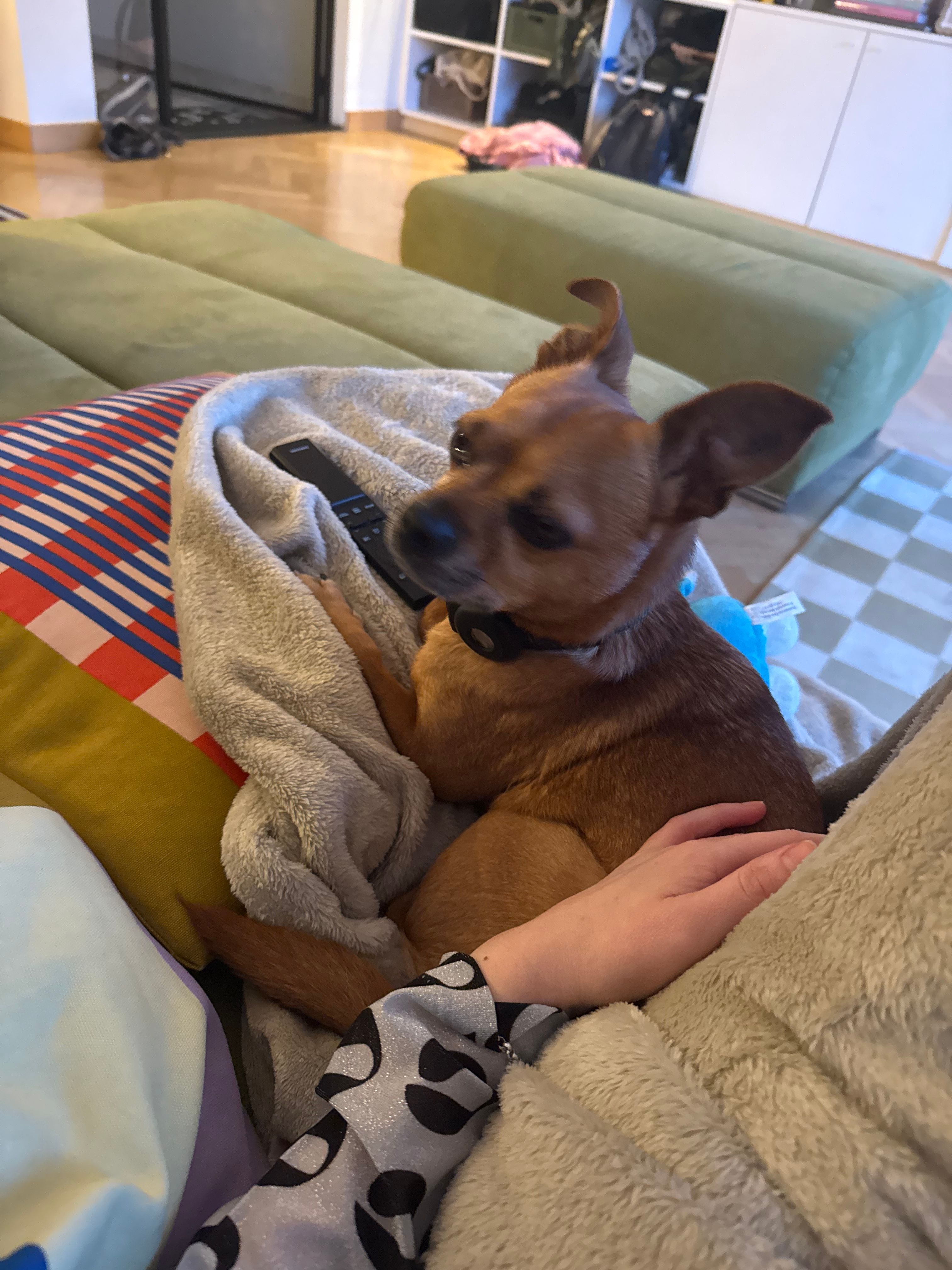 image-6