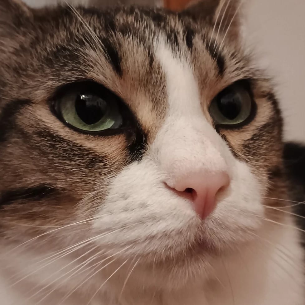 Rufy