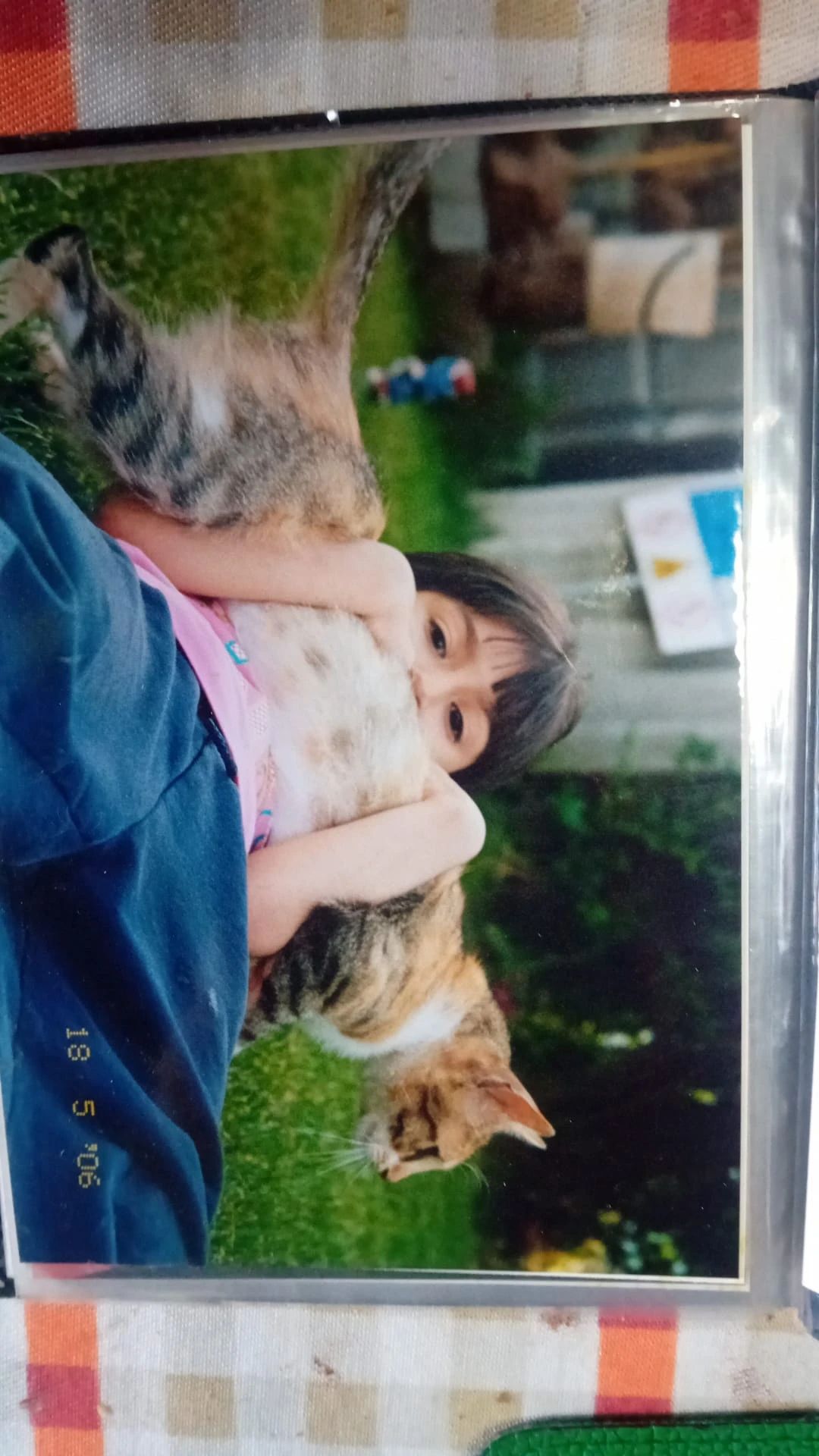 image-9