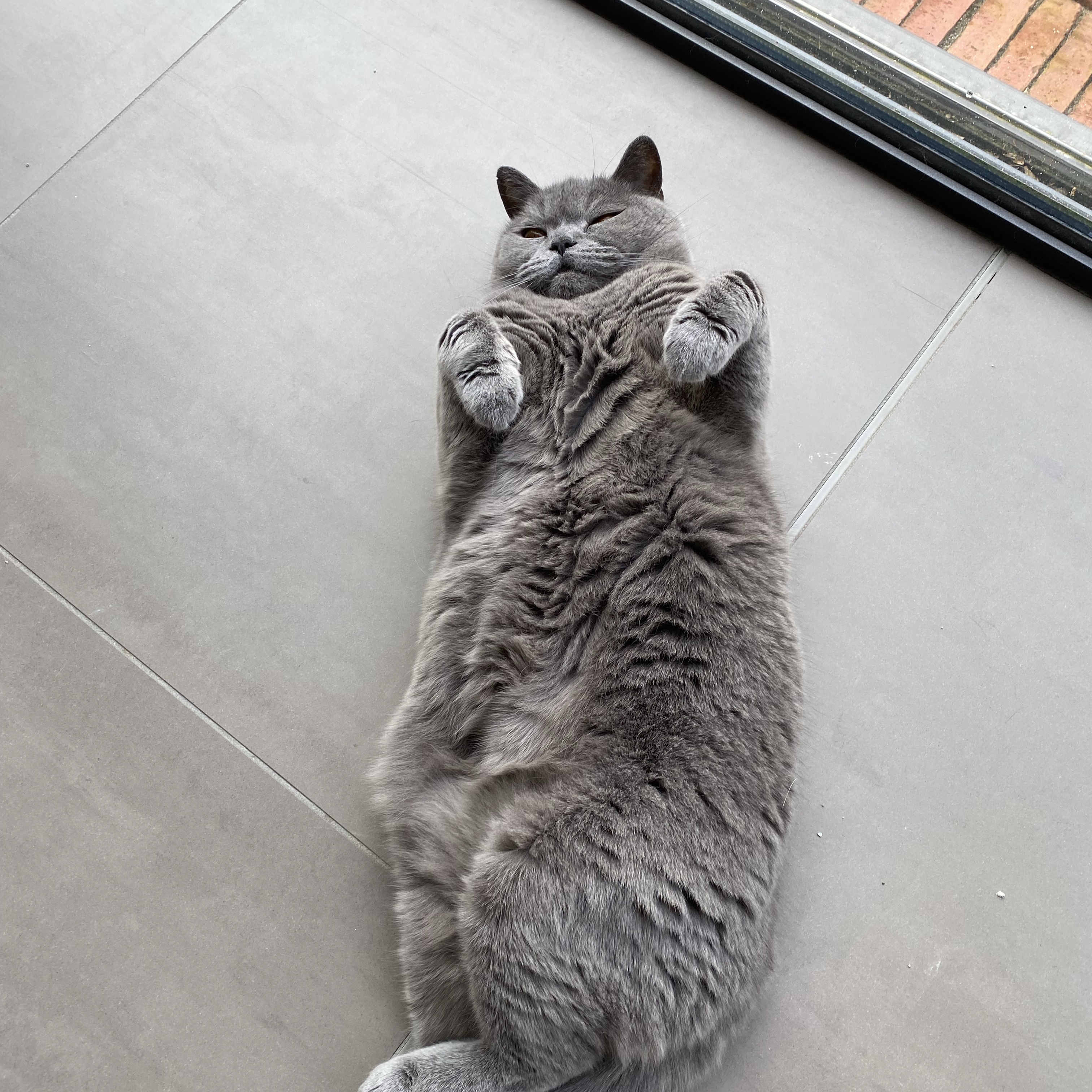 Pippa