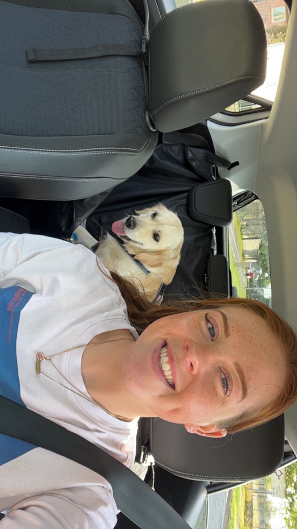 image-17