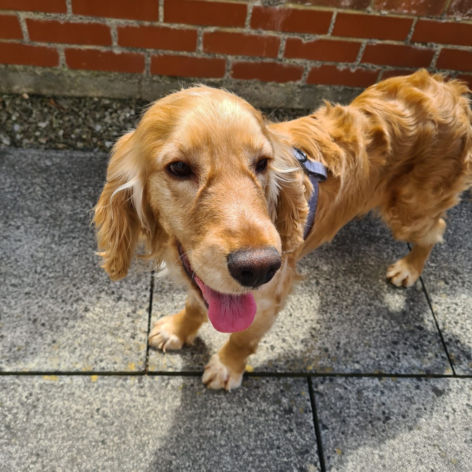 Alan