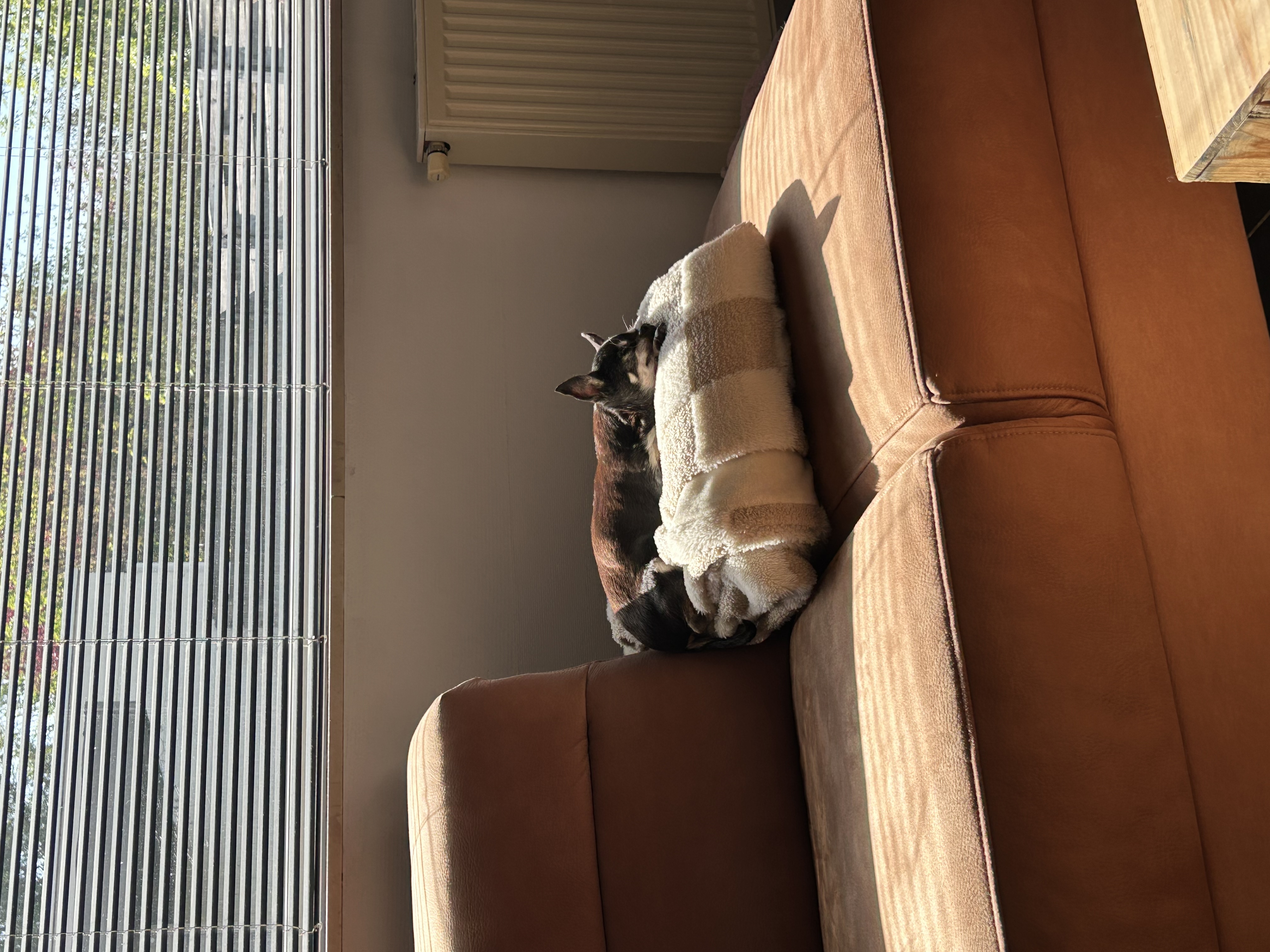 image-14