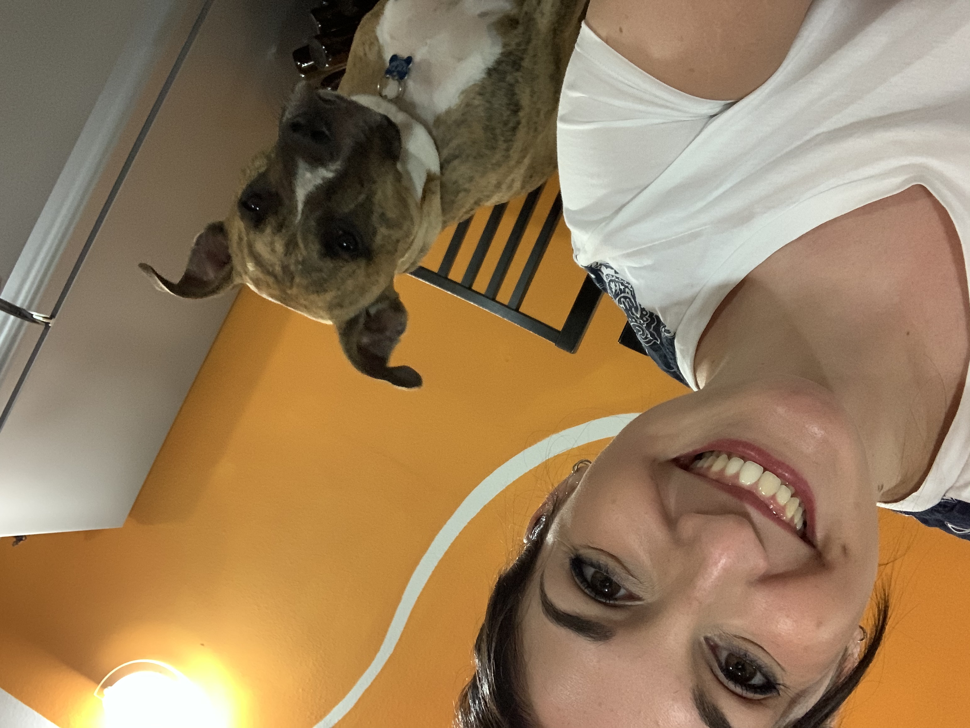 image-6