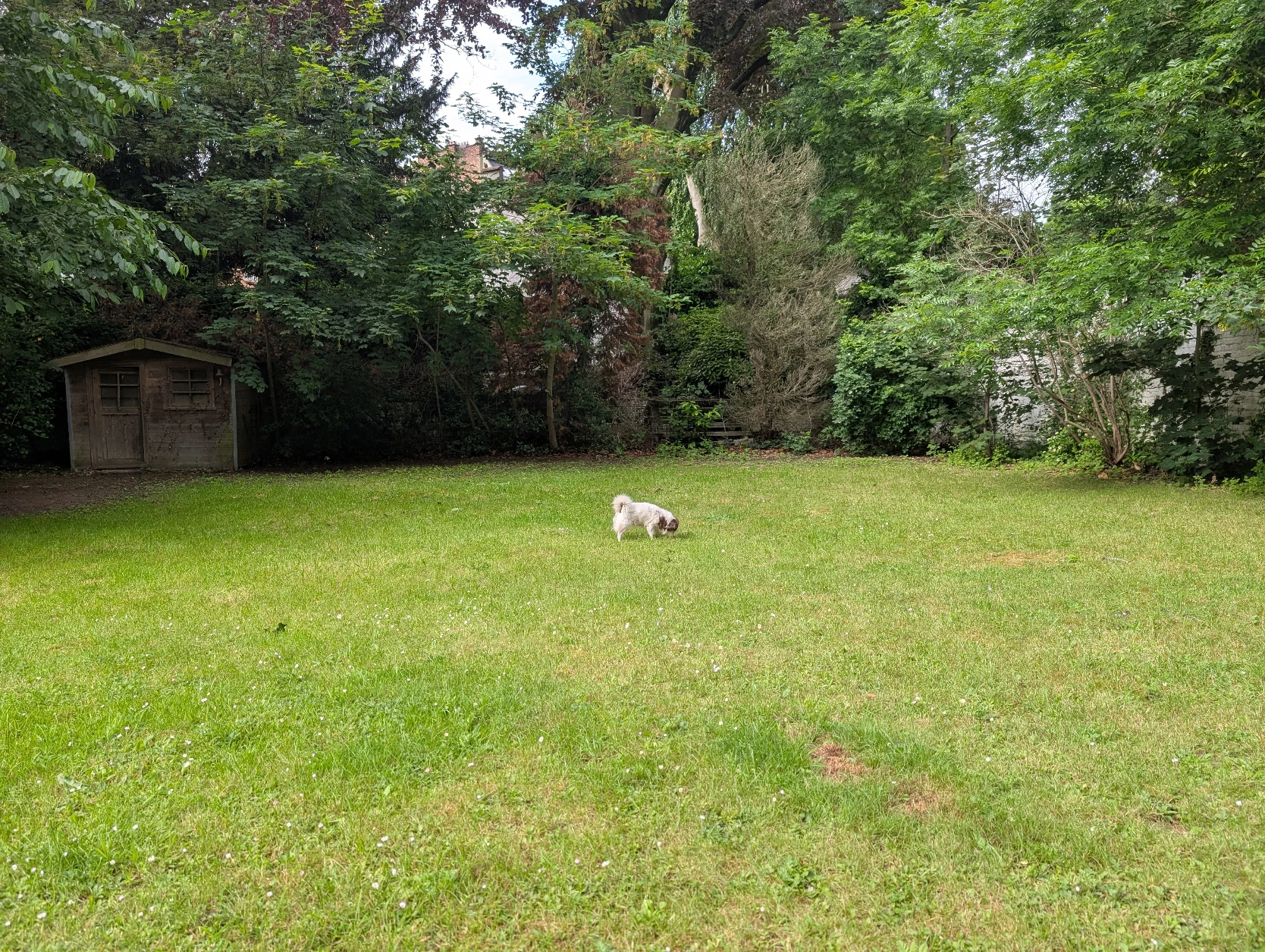 image-22