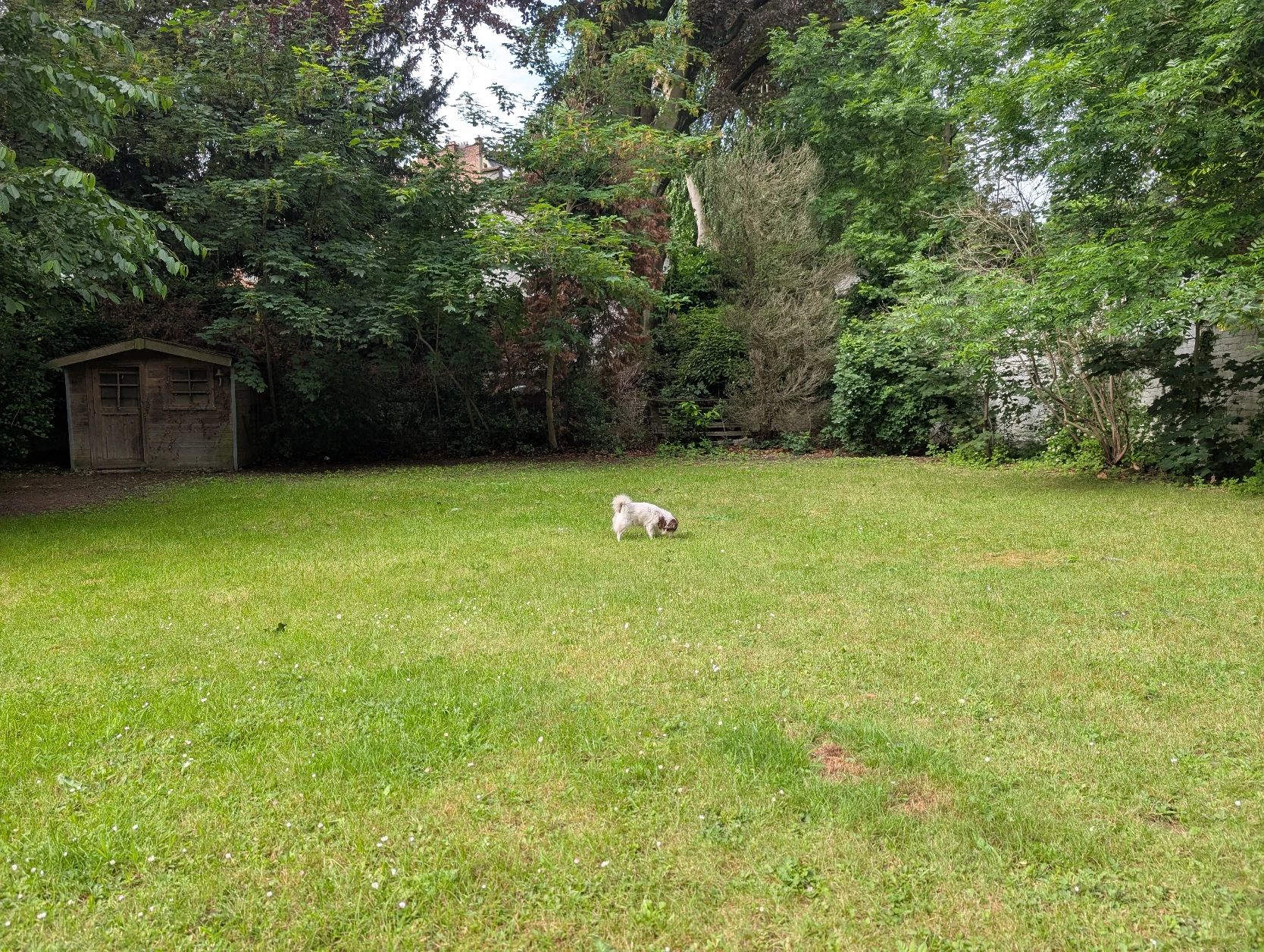 image-22