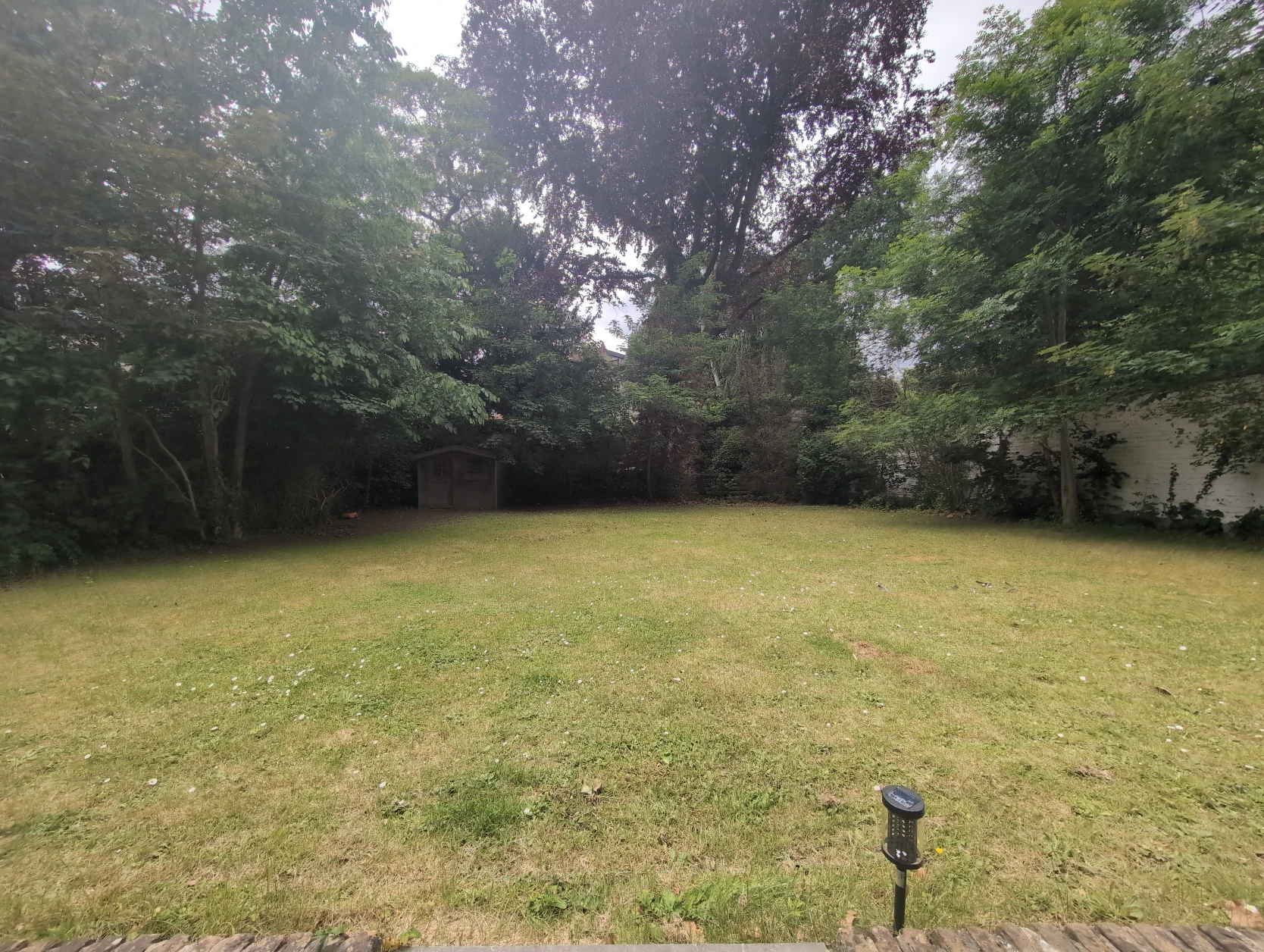 image-19
