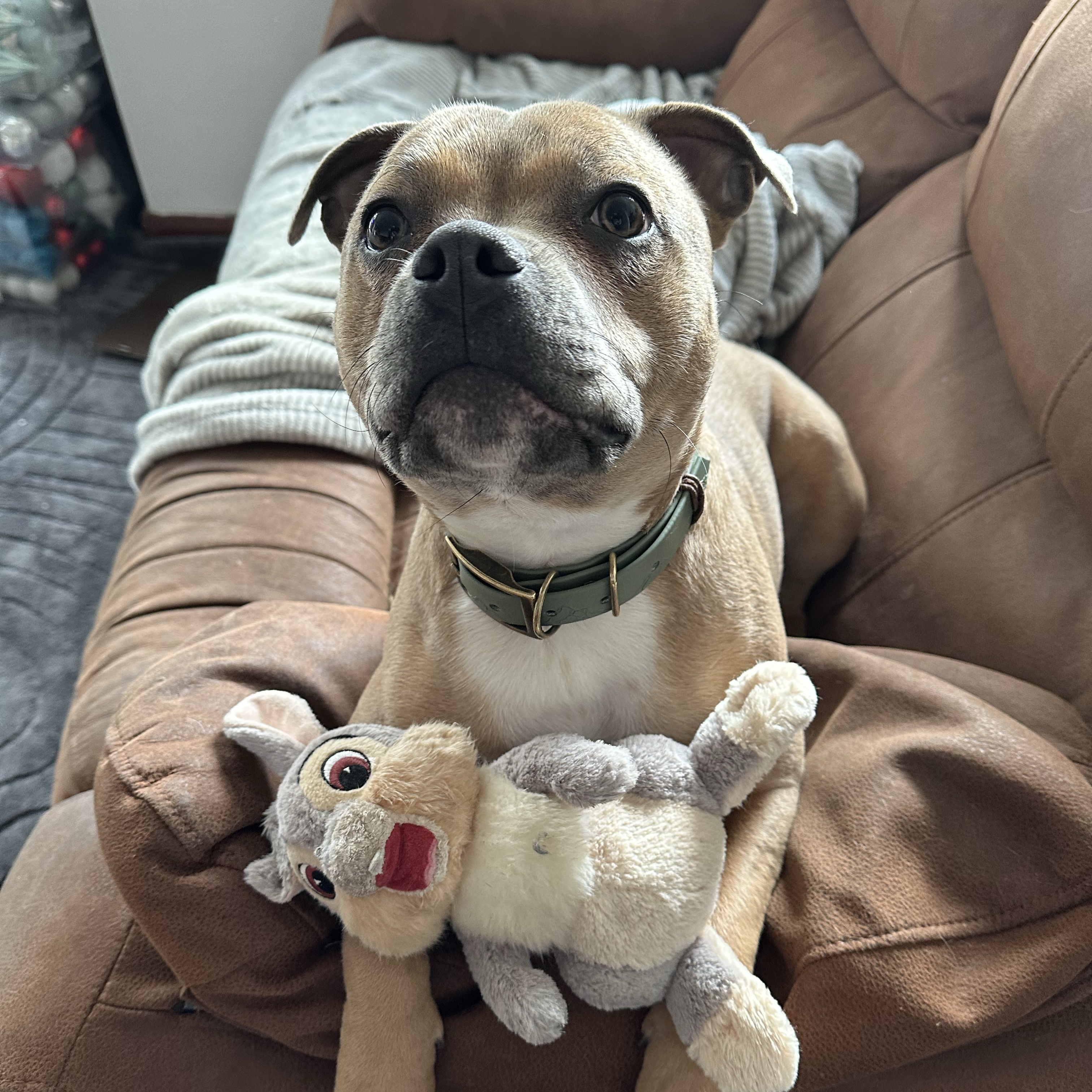 Pip