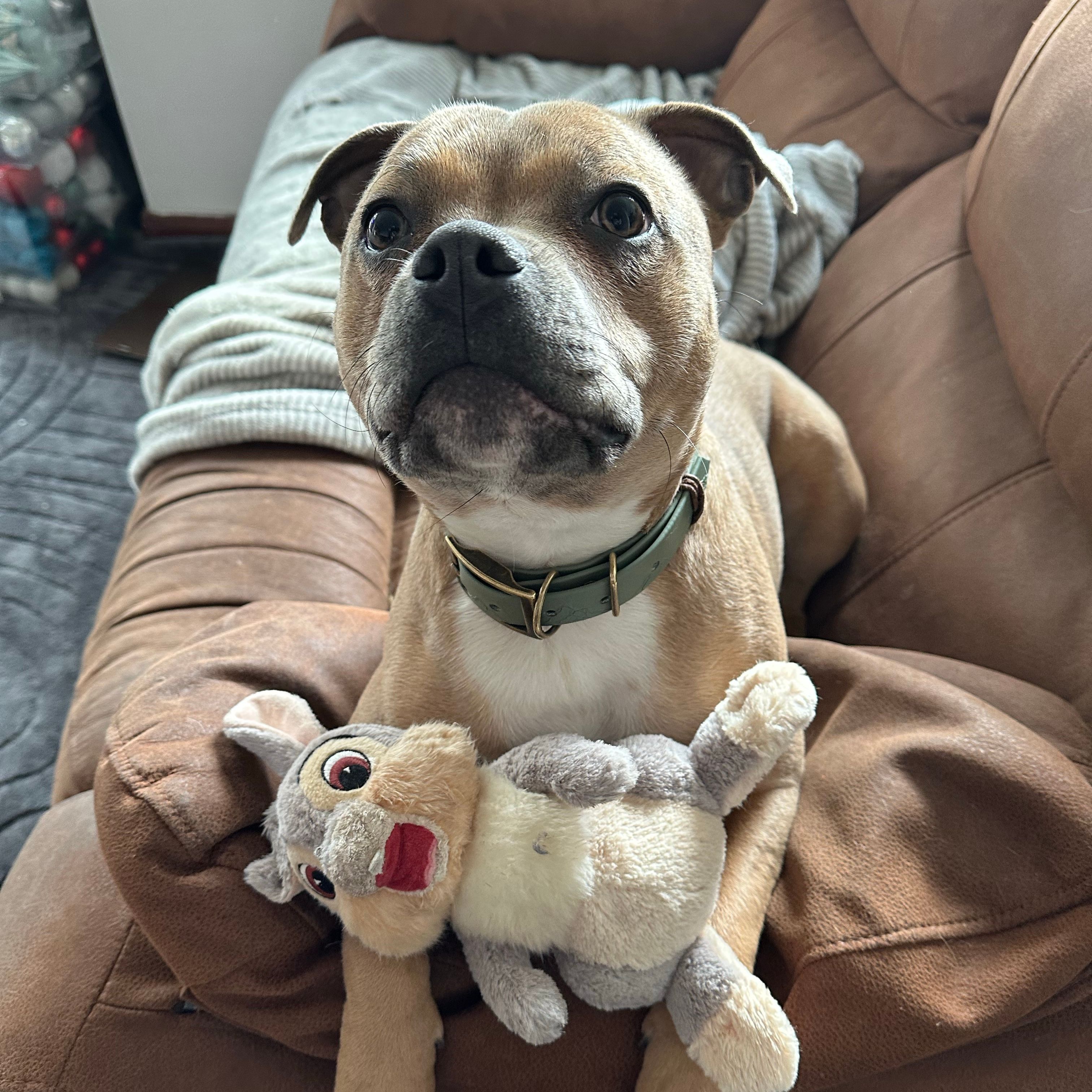 Pip