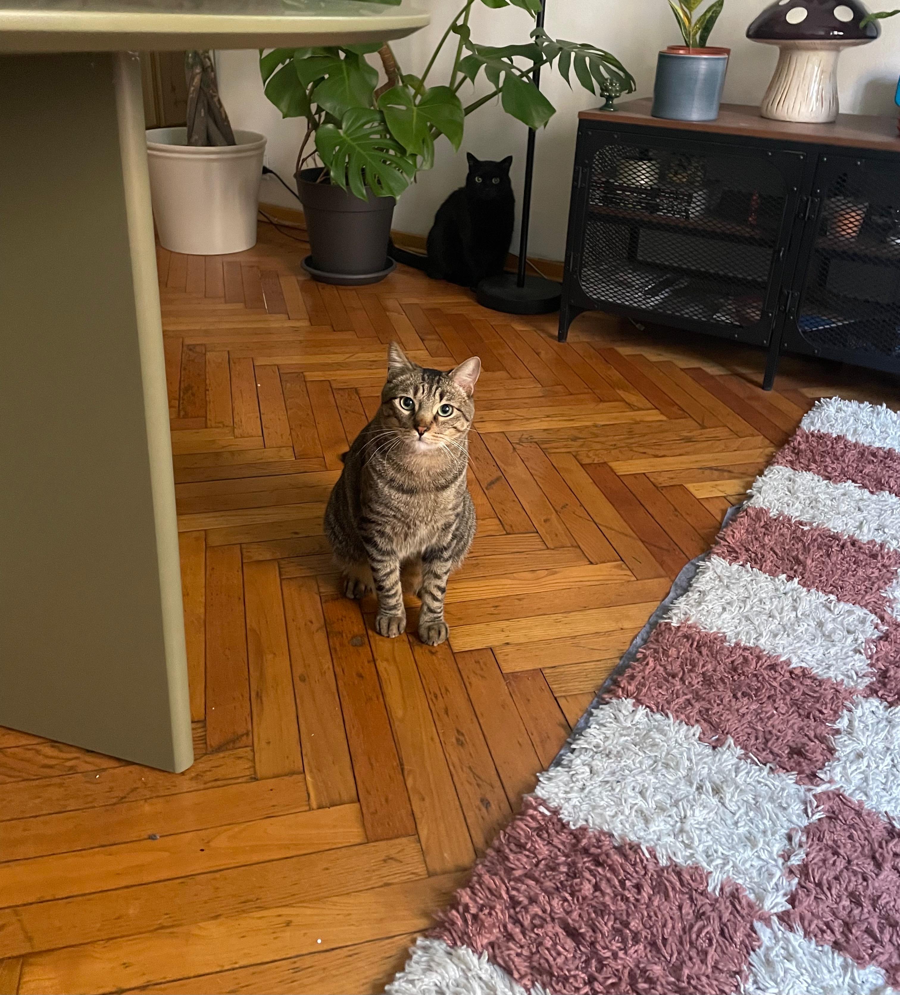 image-14