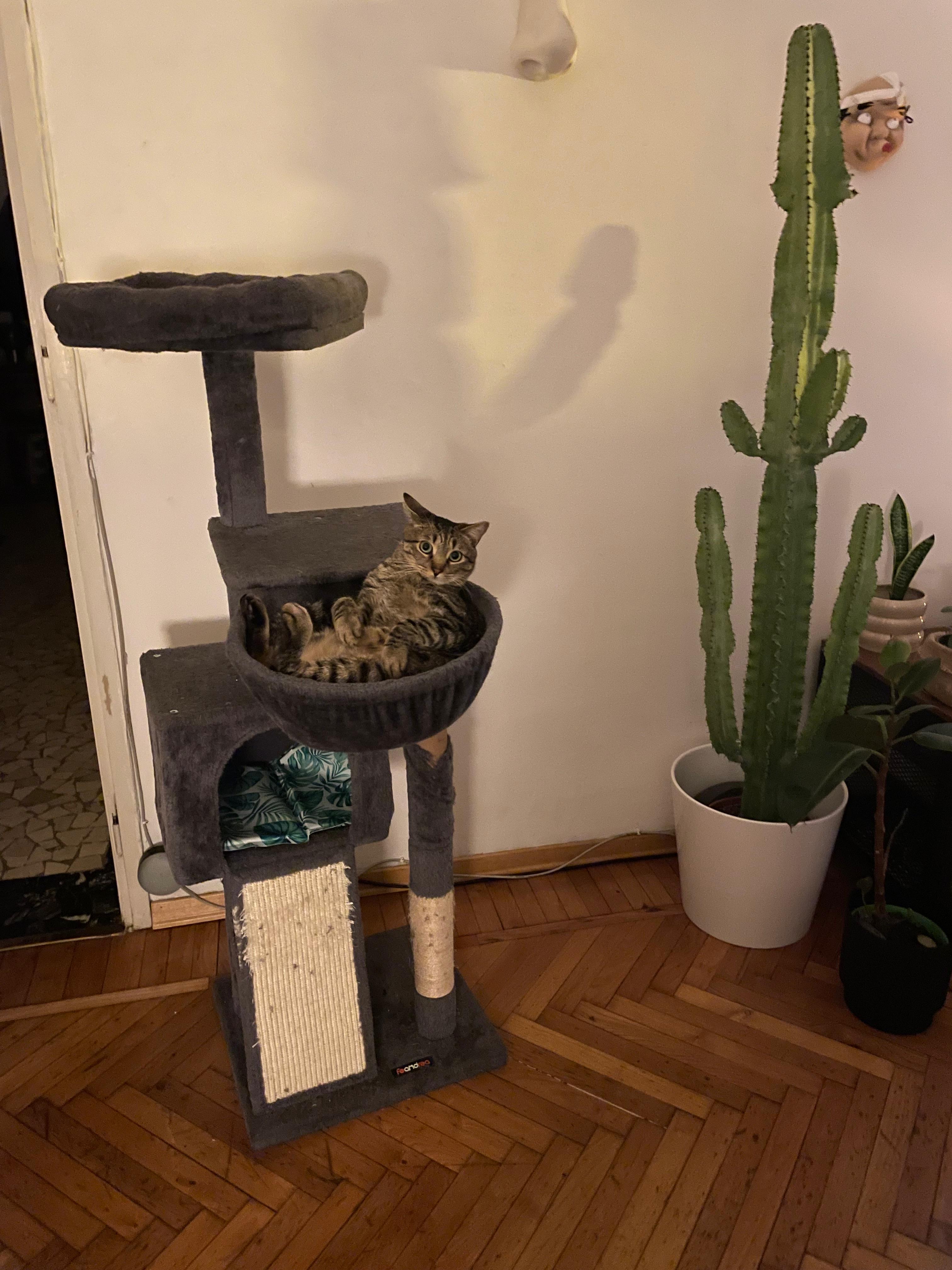 image-18