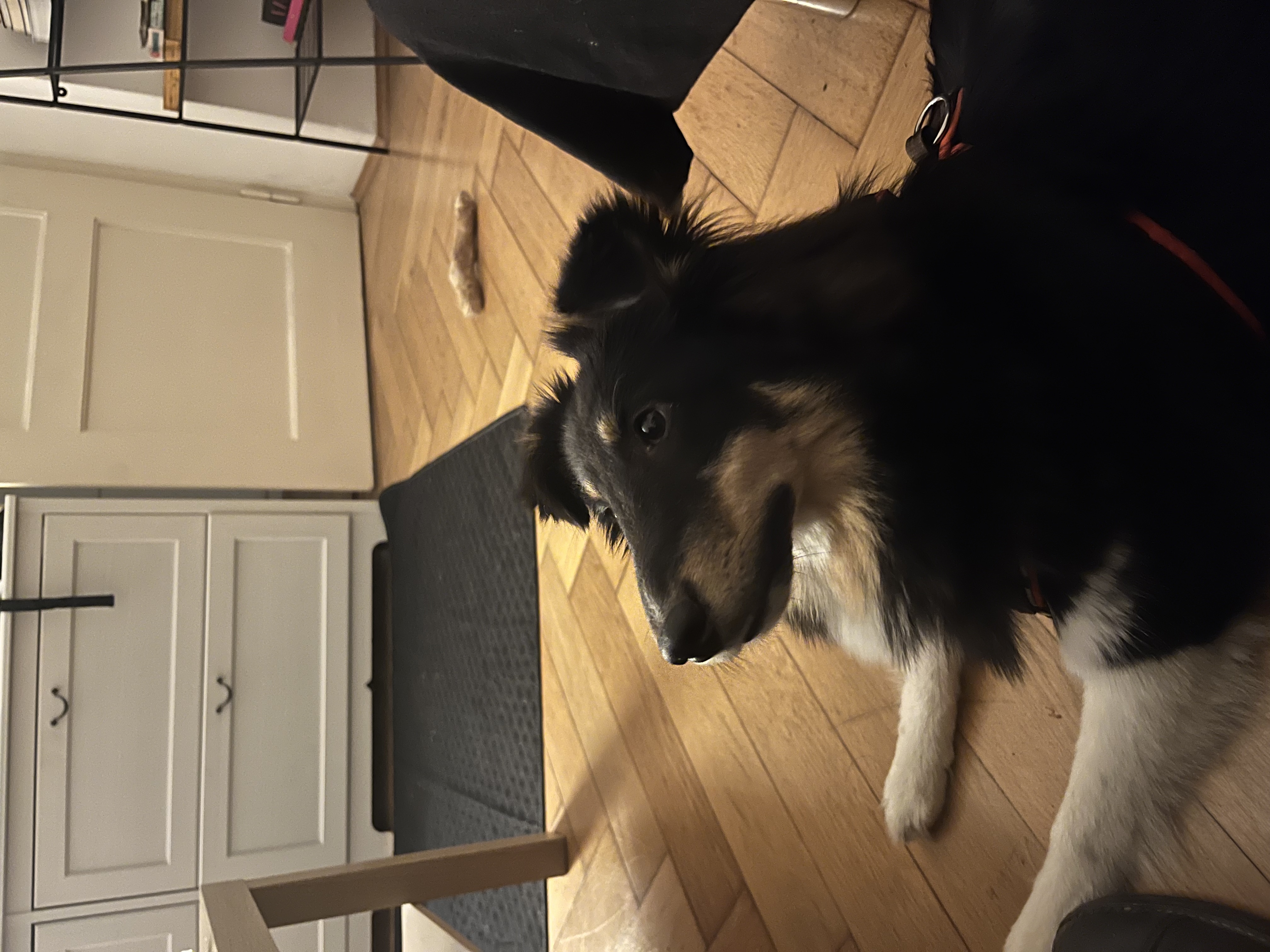 image-15
