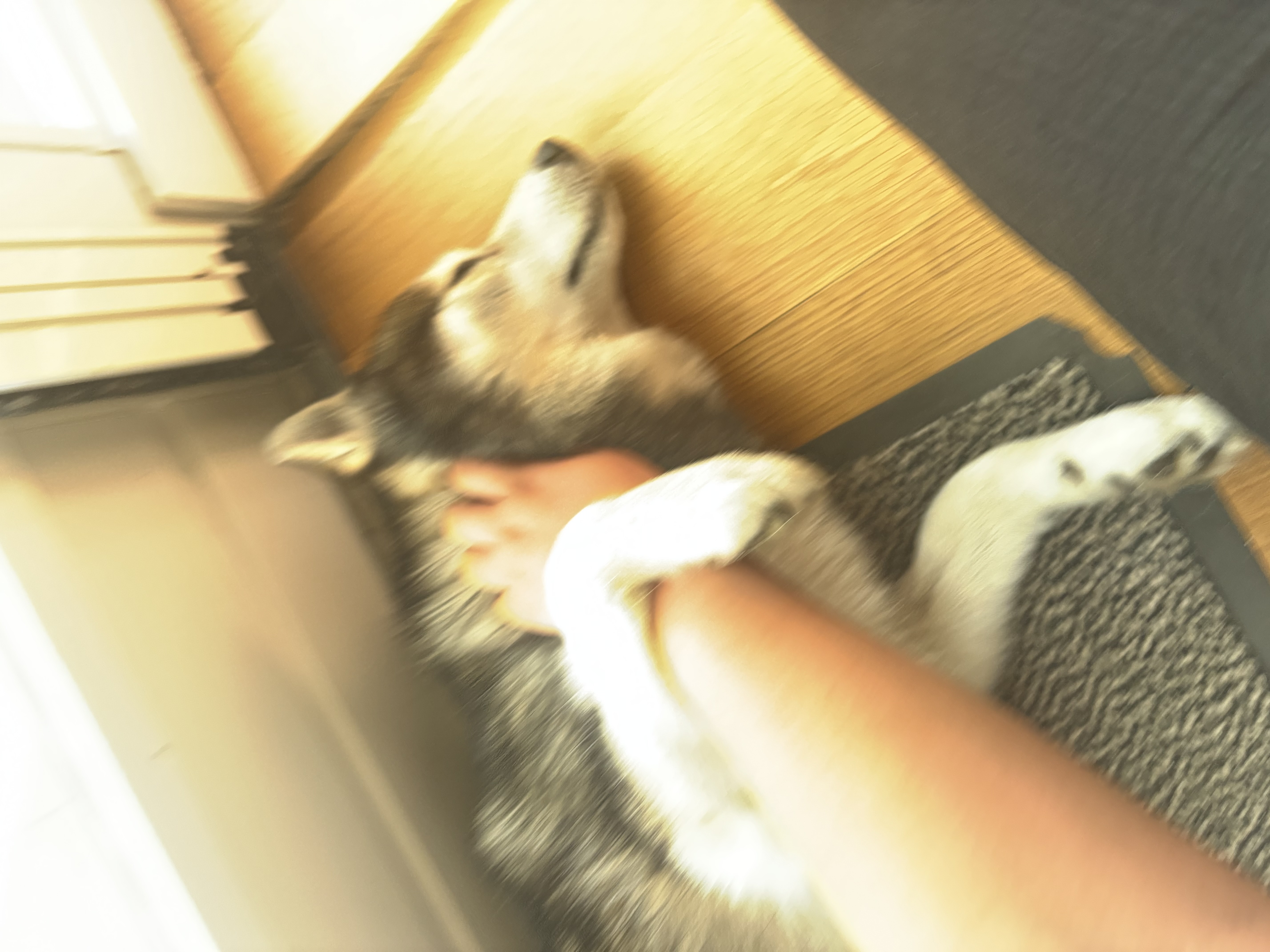 image-6