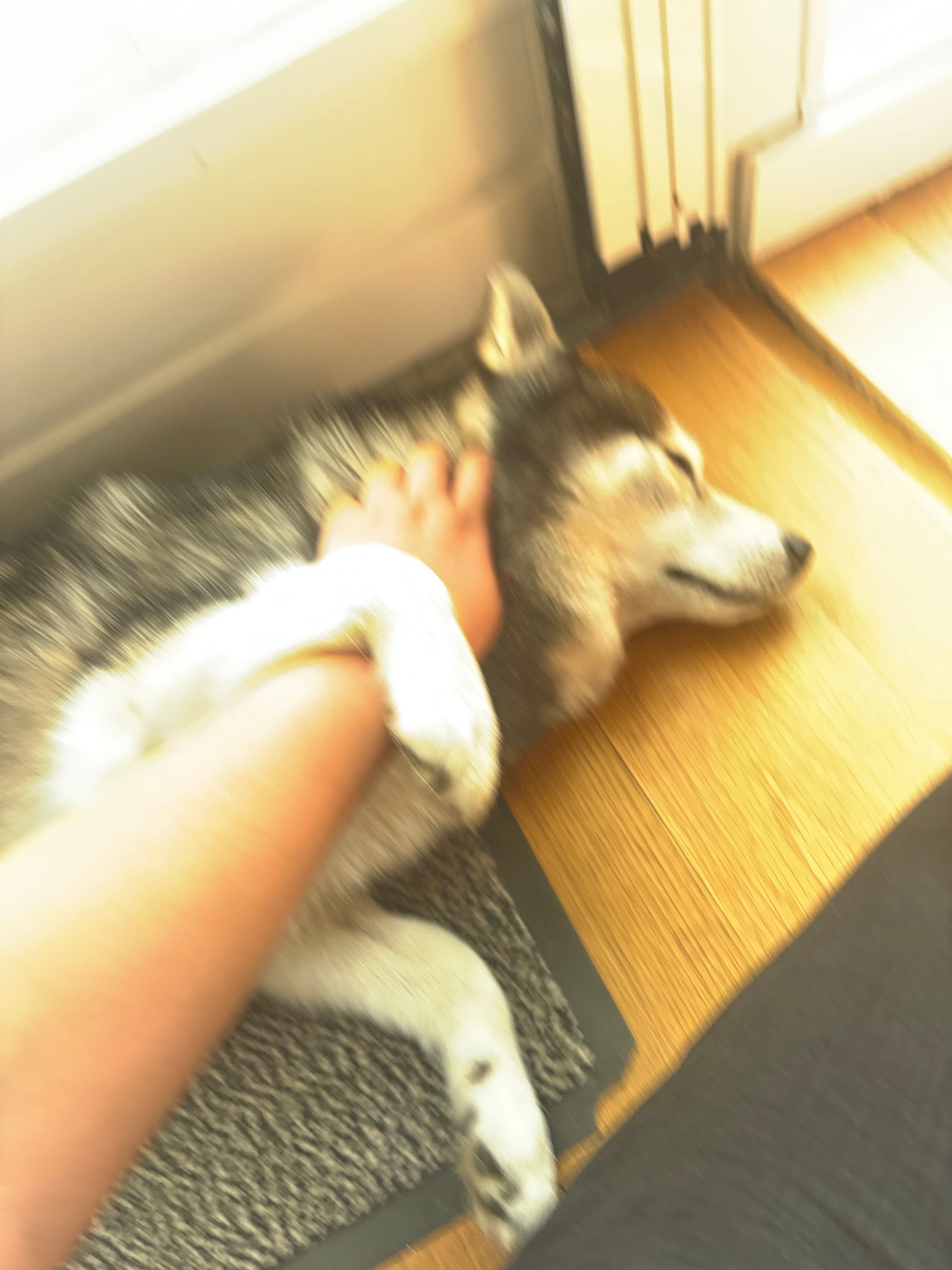 image-6