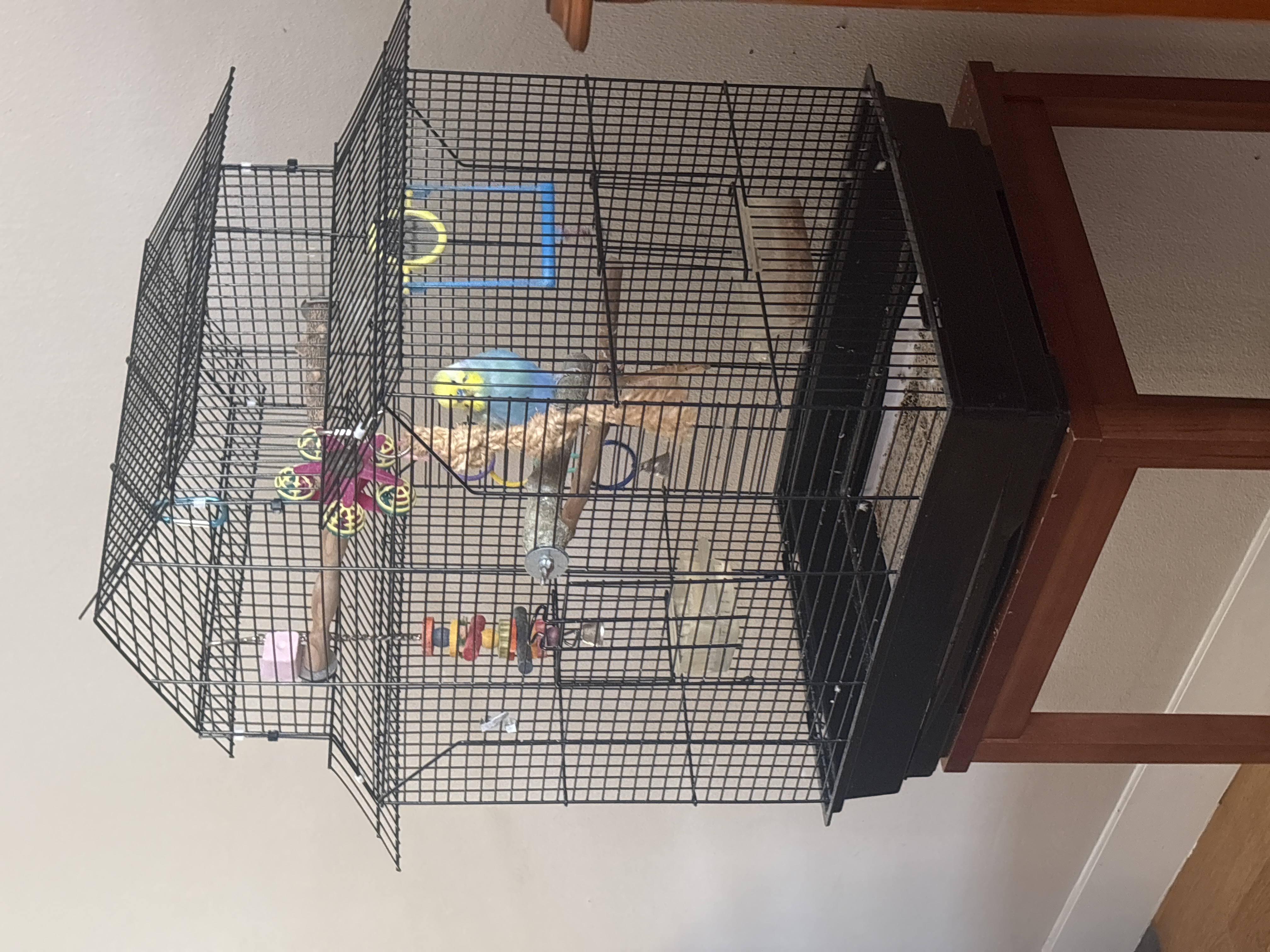 image-11