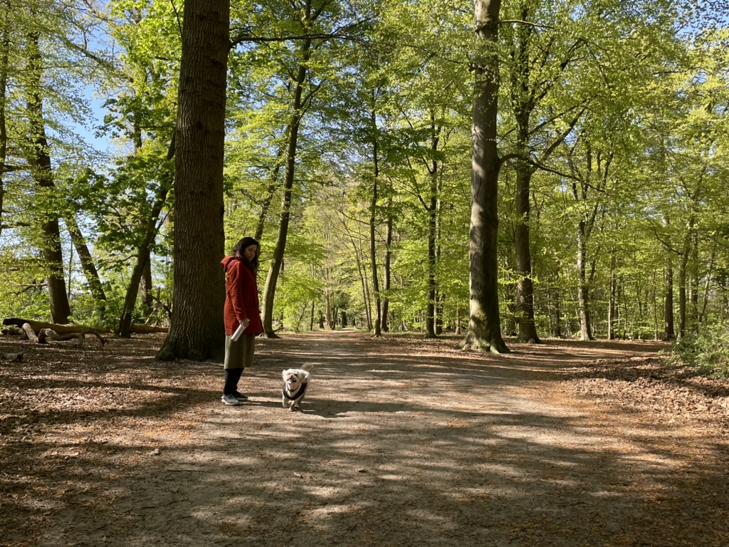 image-13