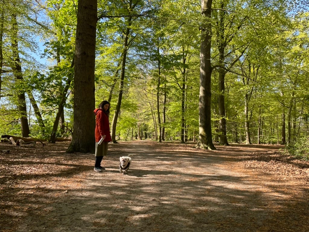 image-13