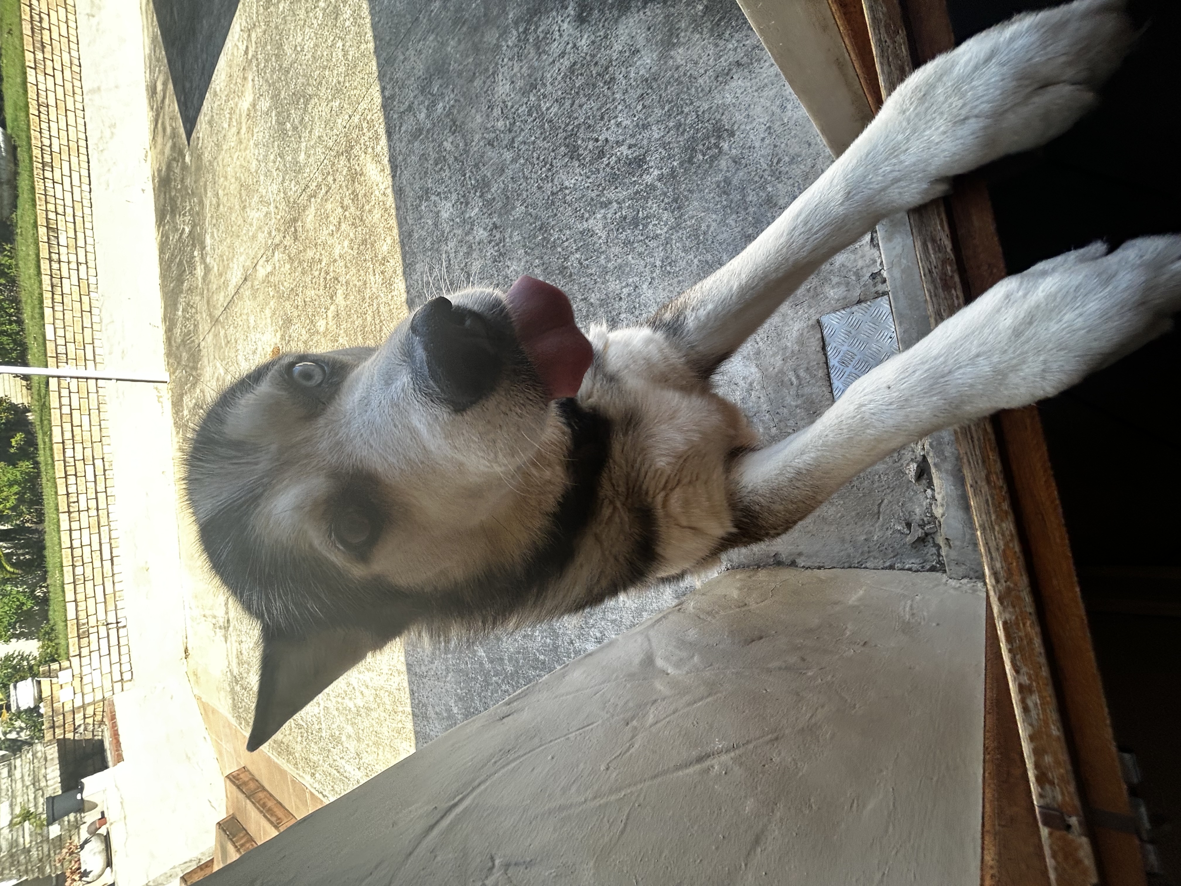 image-10