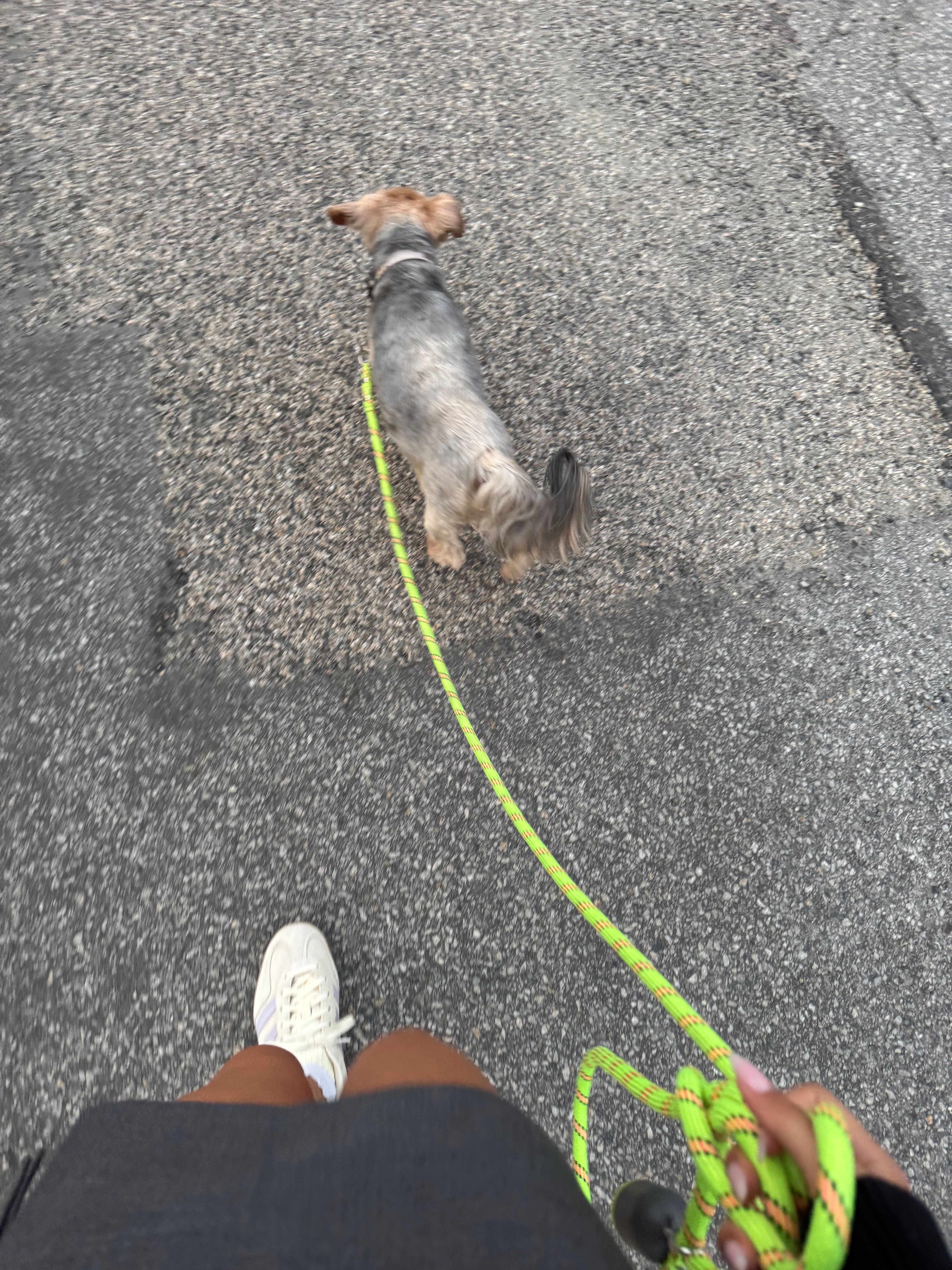 image-9