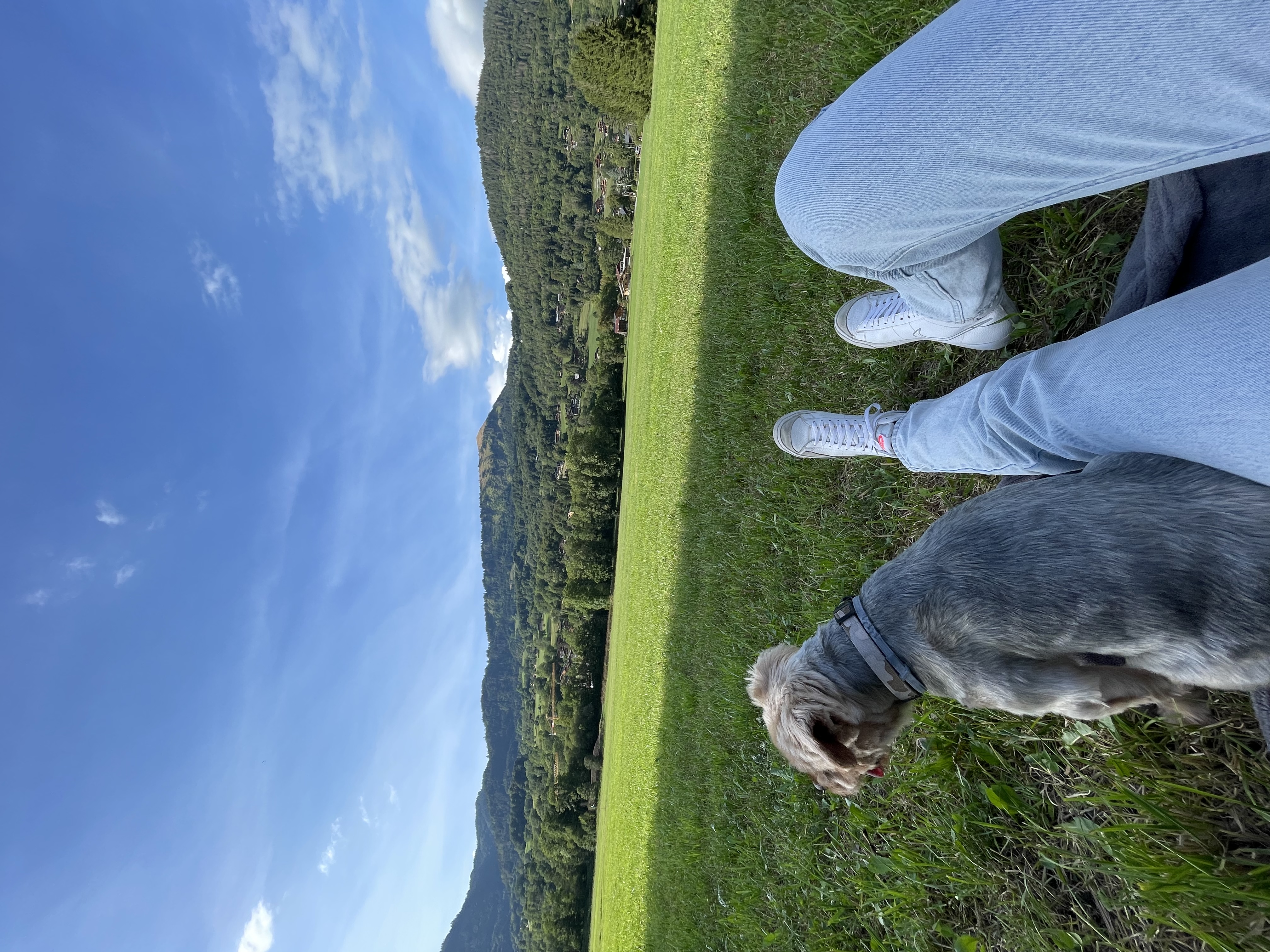 image-6